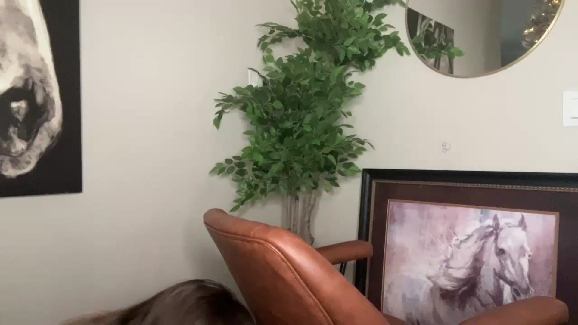 Gallery image thumbnail from Laceygreyy's myfreecams stream on, 11/20/2025, 18:39 image 19 of 20