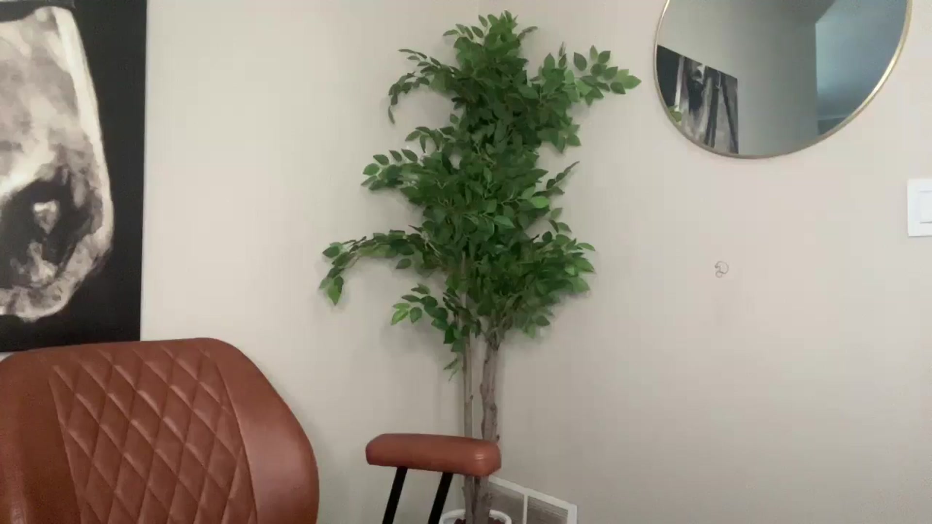 Gallery image thumbnail from Laceygreyy's myfreecams stream on, 02/11/2026, 20:22 image 6 of 20