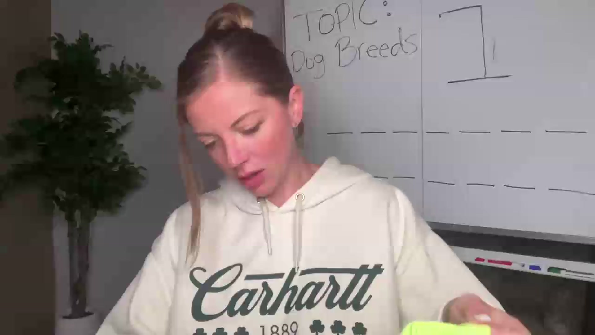 Gallery image thumbnail from Laceygreyy's myfreecams stream on, 08/26/2026, 20:35 image 1 of 20