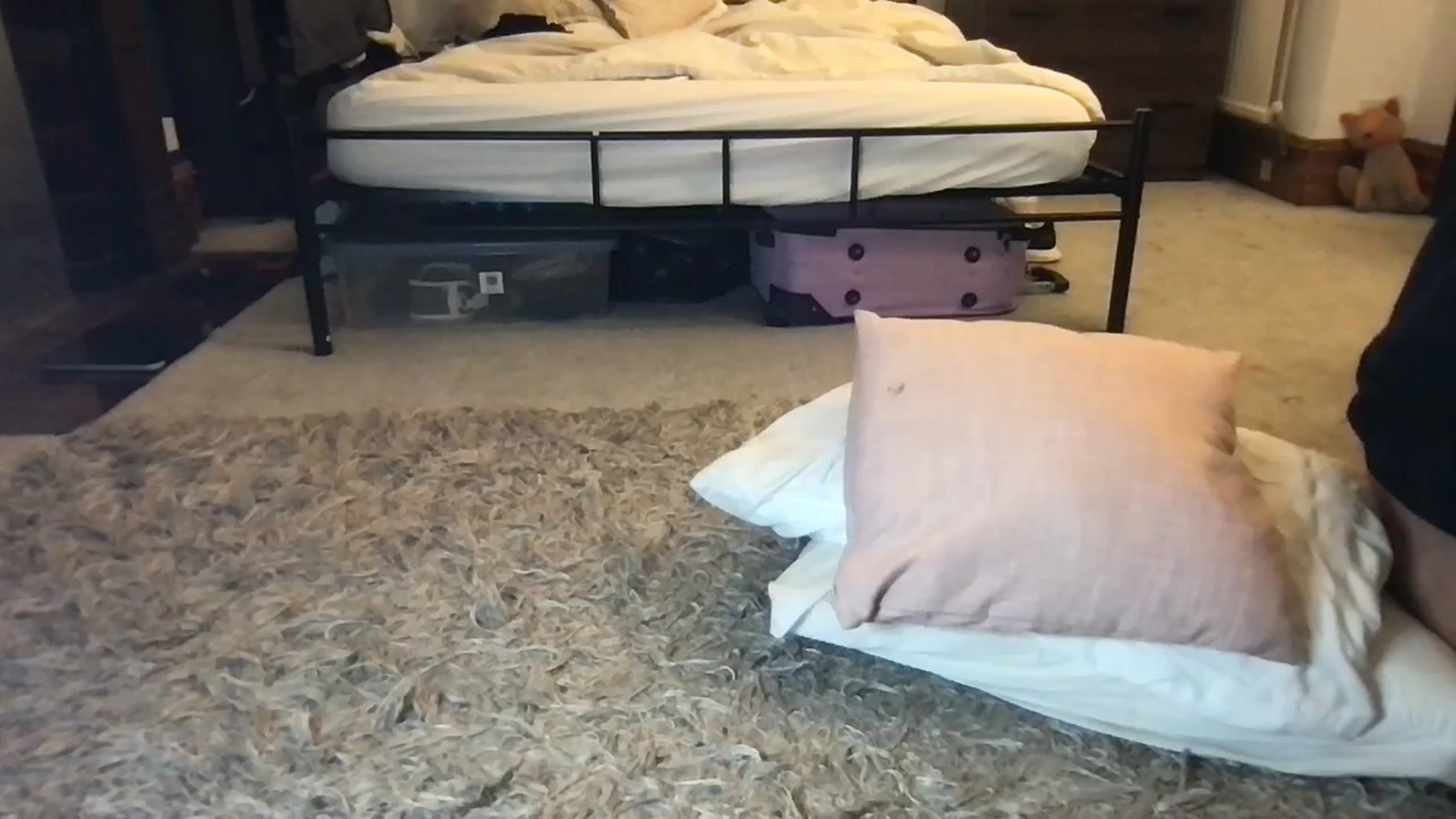 Gallery image thumbnail from Laceyjames24's myfreecams stream on, 10/13/2023, 22:47 image 18 of 20