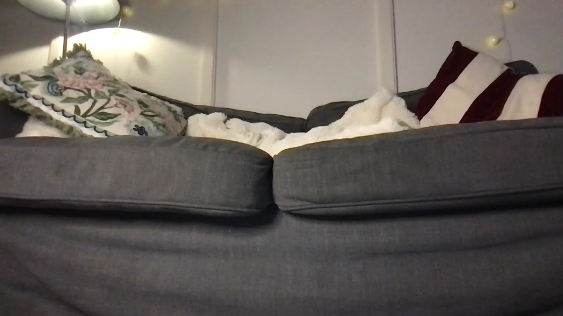Gallery image thumbnail from Laceyjames24's myfreecams stream on, 03/13/2026, 13:33 image 6 of 20