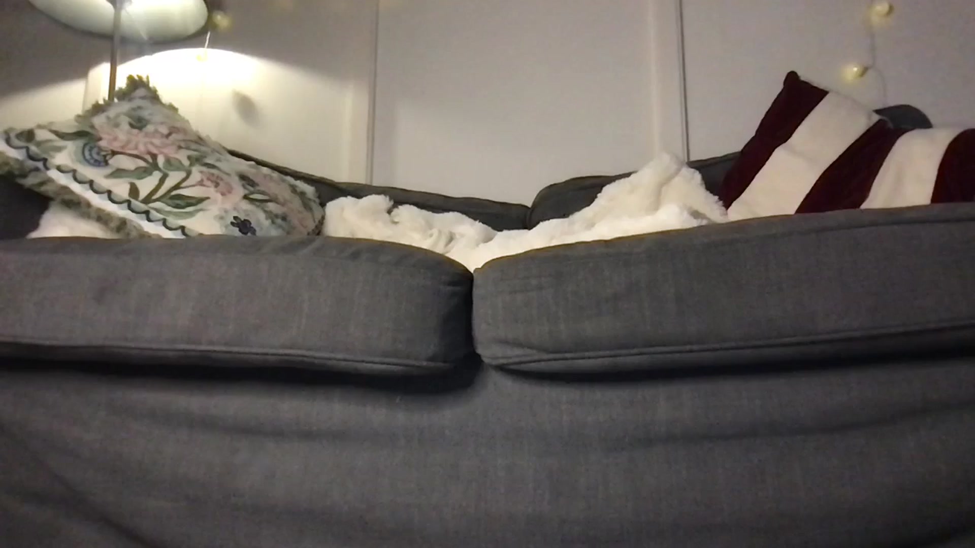 Gallery image thumbnail from Laceyjames24's myfreecams stream on, 03/13/2026, 13:33 image 7 of 20