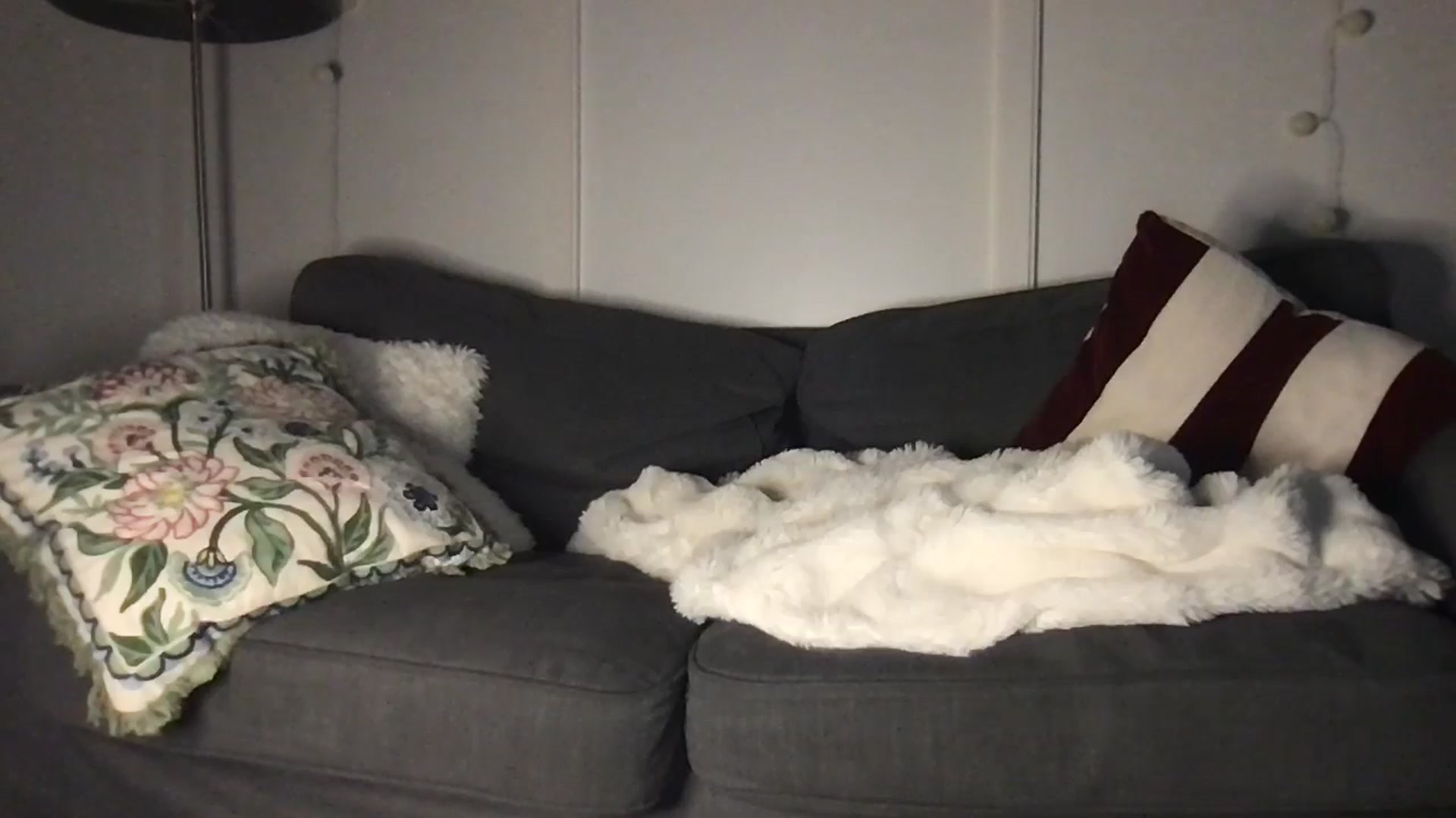 Gallery image thumbnail from Laceyjames24's myfreecams stream on, 03/14/2026, 09:01 image 13 of 20