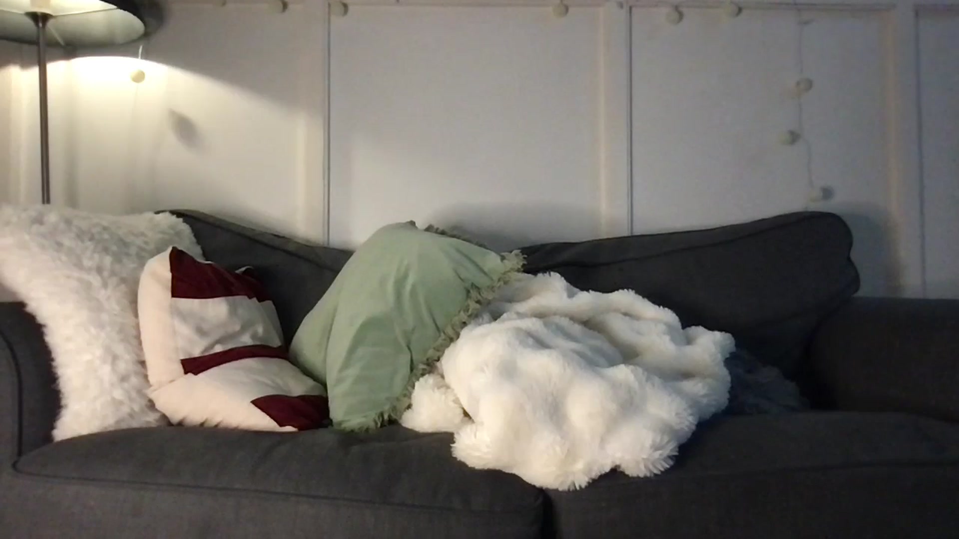 Gallery image thumbnail from Laceyjames24's myfreecams stream on, 04/01/2026, 12:01 image 7 of 20