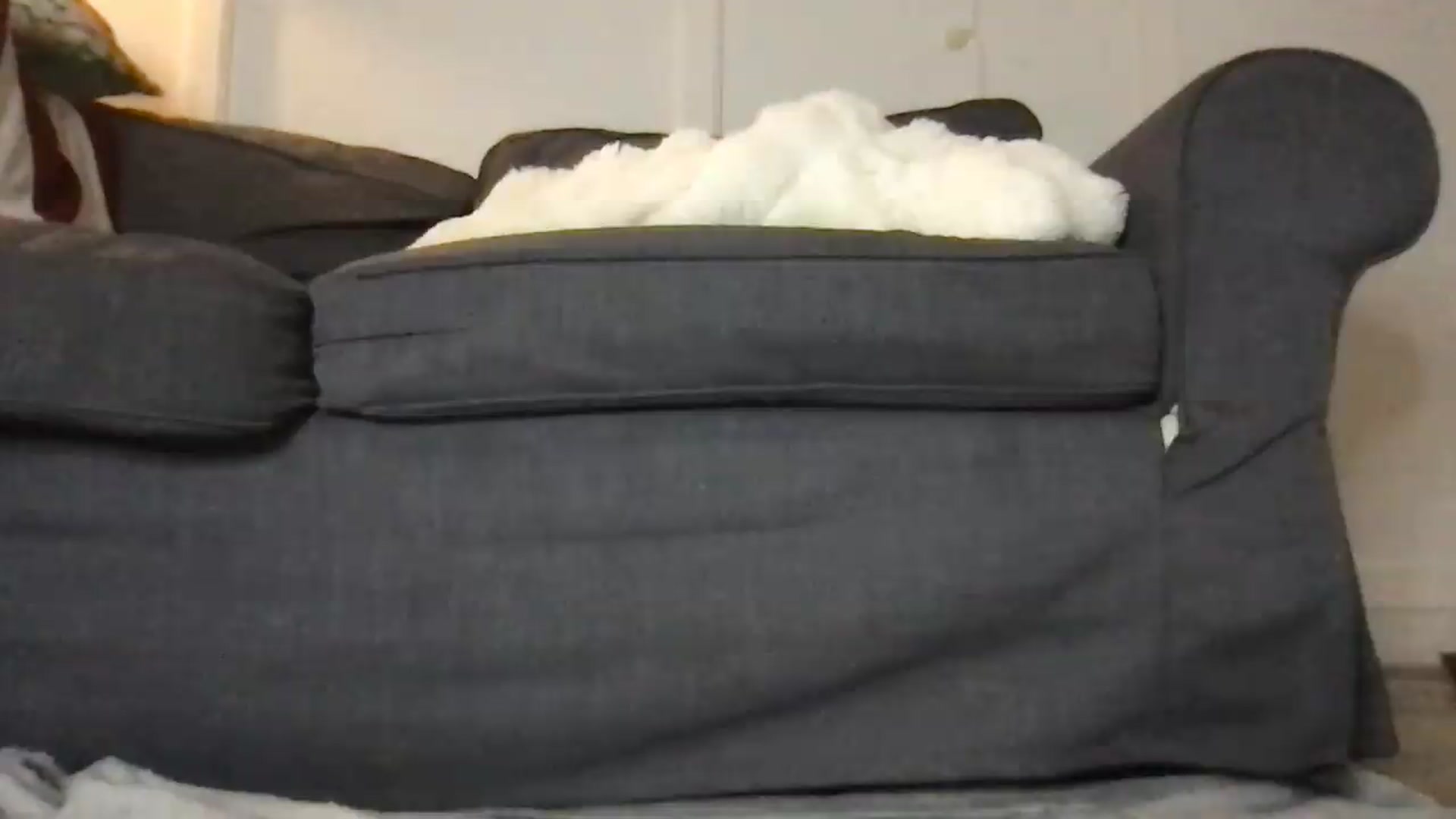 Gallery image thumbnail from Laceyjames24's myfreecams stream on, 06/03/2026, 12:17 image 9 of 20