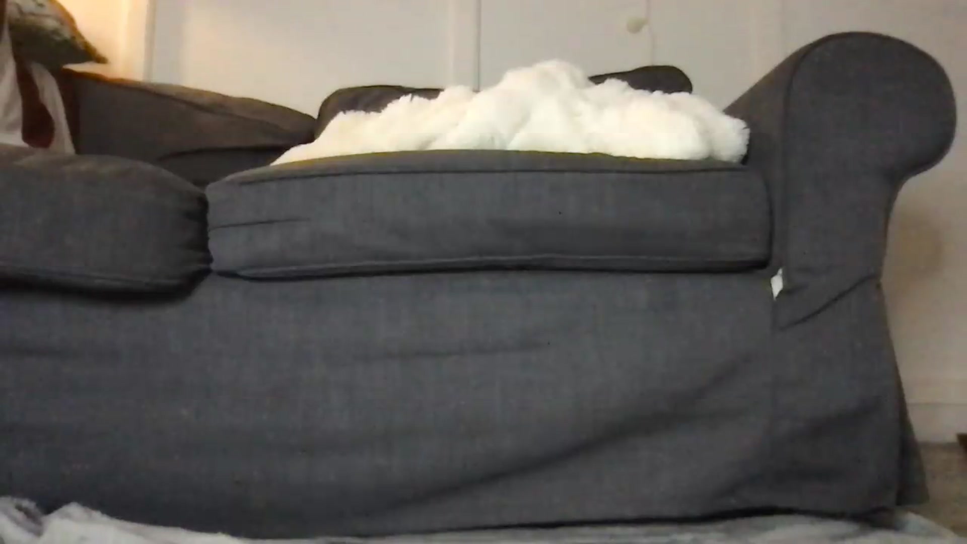 Gallery image thumbnail from Laceyjames24's myfreecams stream on, 06/03/2026, 12:17 image 10 of 20