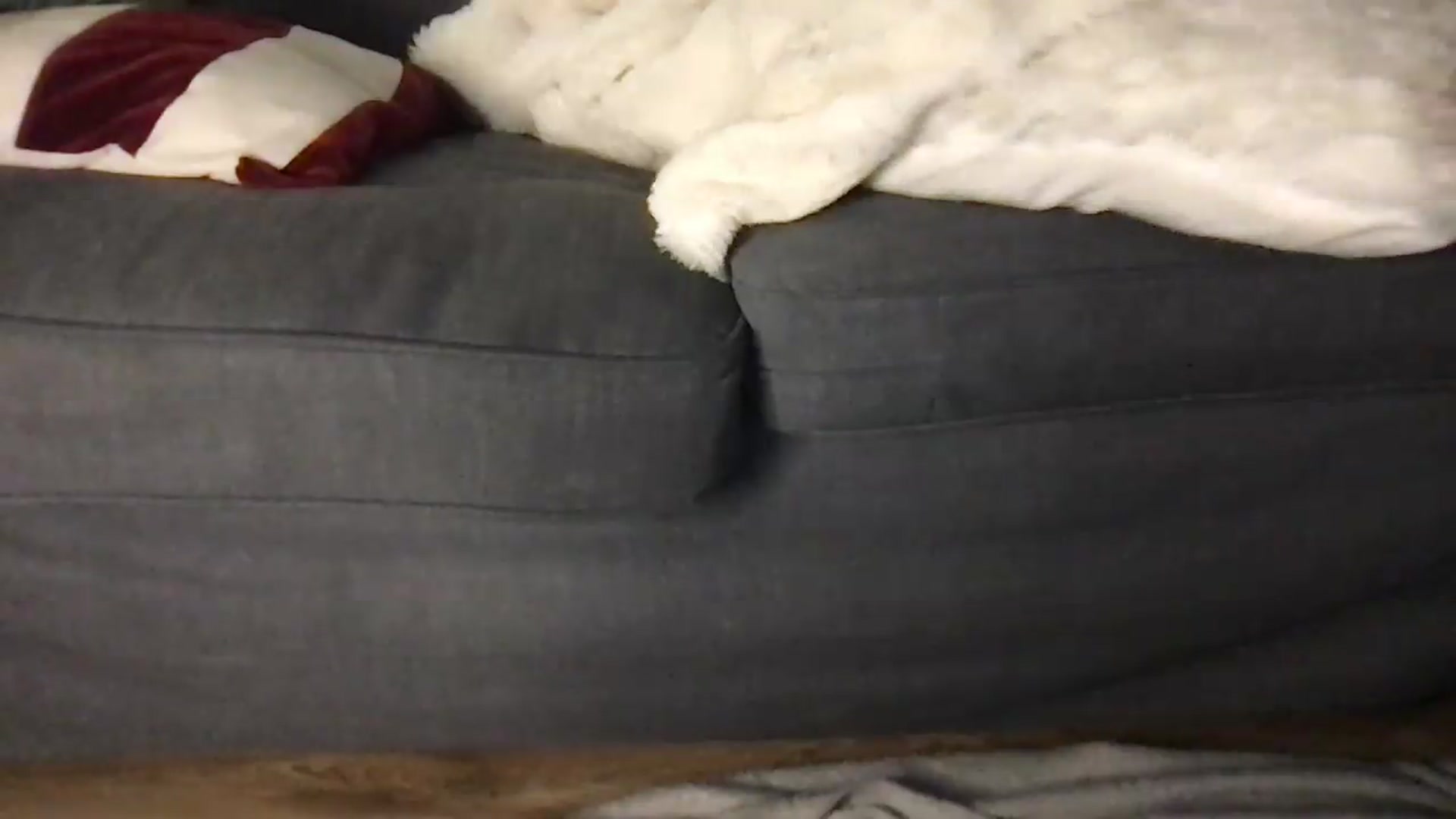 Gallery image thumbnail from Laceyjames24's myfreecams stream on, 06/10/2026, 08:10 image 17 of 20