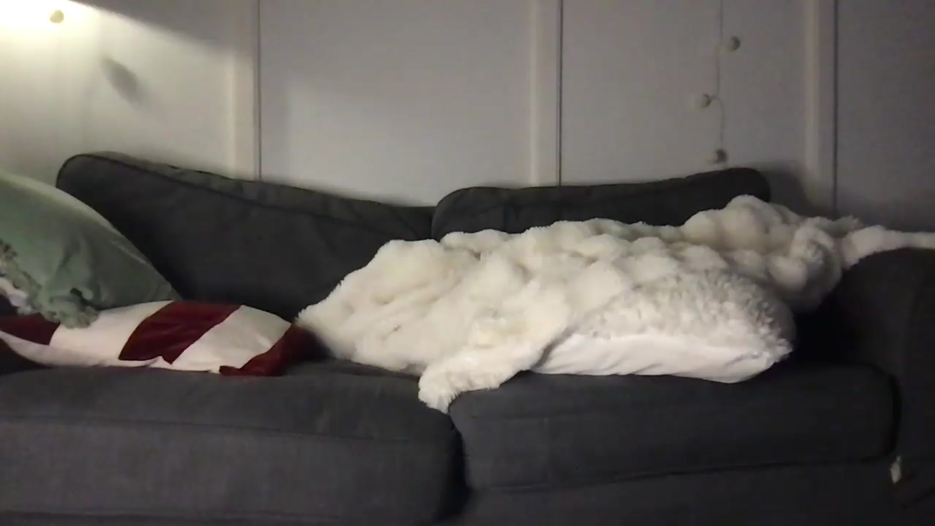 Gallery image thumbnail from Laceyjames24's myfreecams stream on, 06/10/2026, 08:10 image 9 of 20