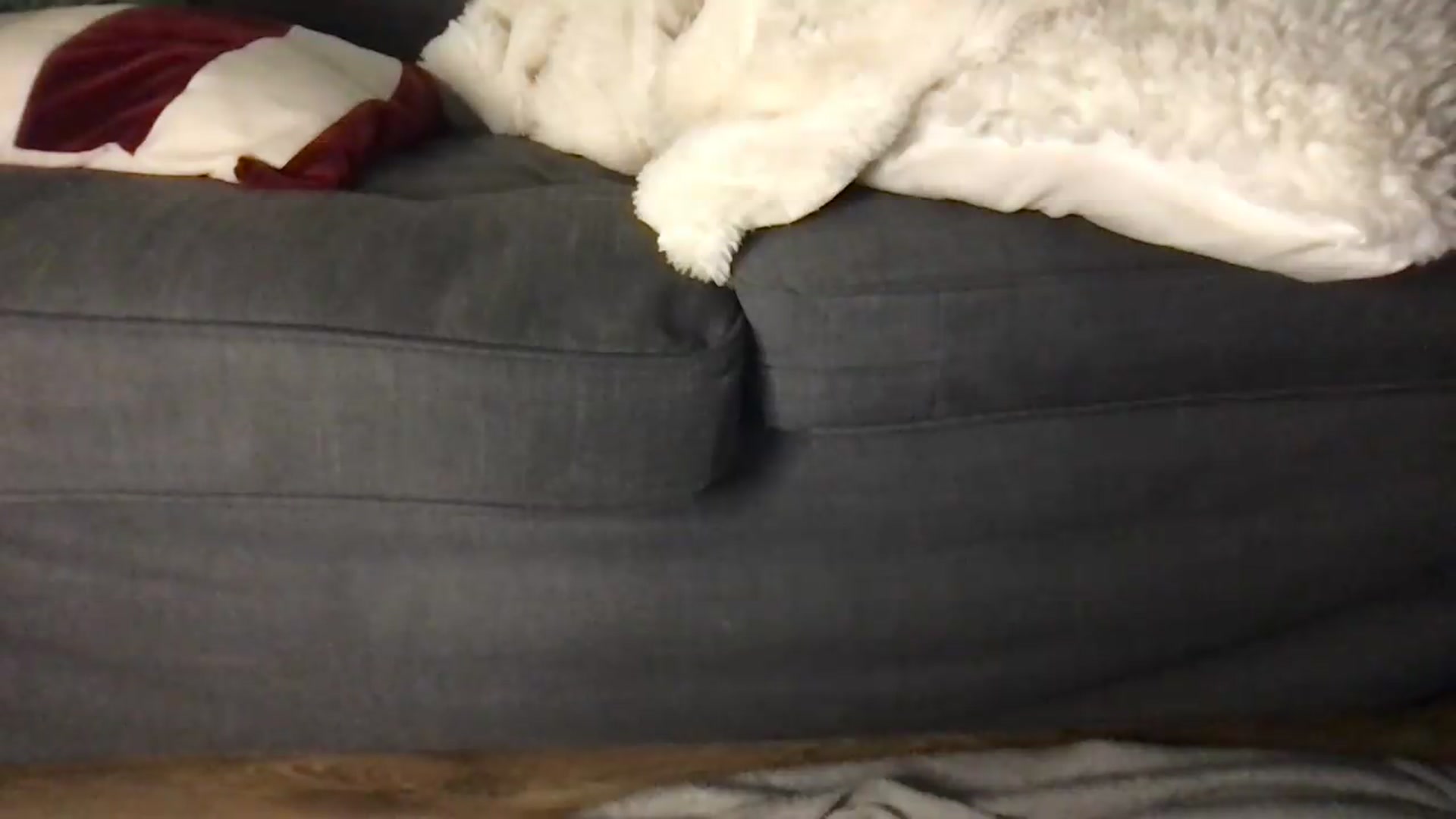 Gallery image thumbnail from Laceyjames24's myfreecams stream on, 06/10/2026, 08:10 image 19 of 20