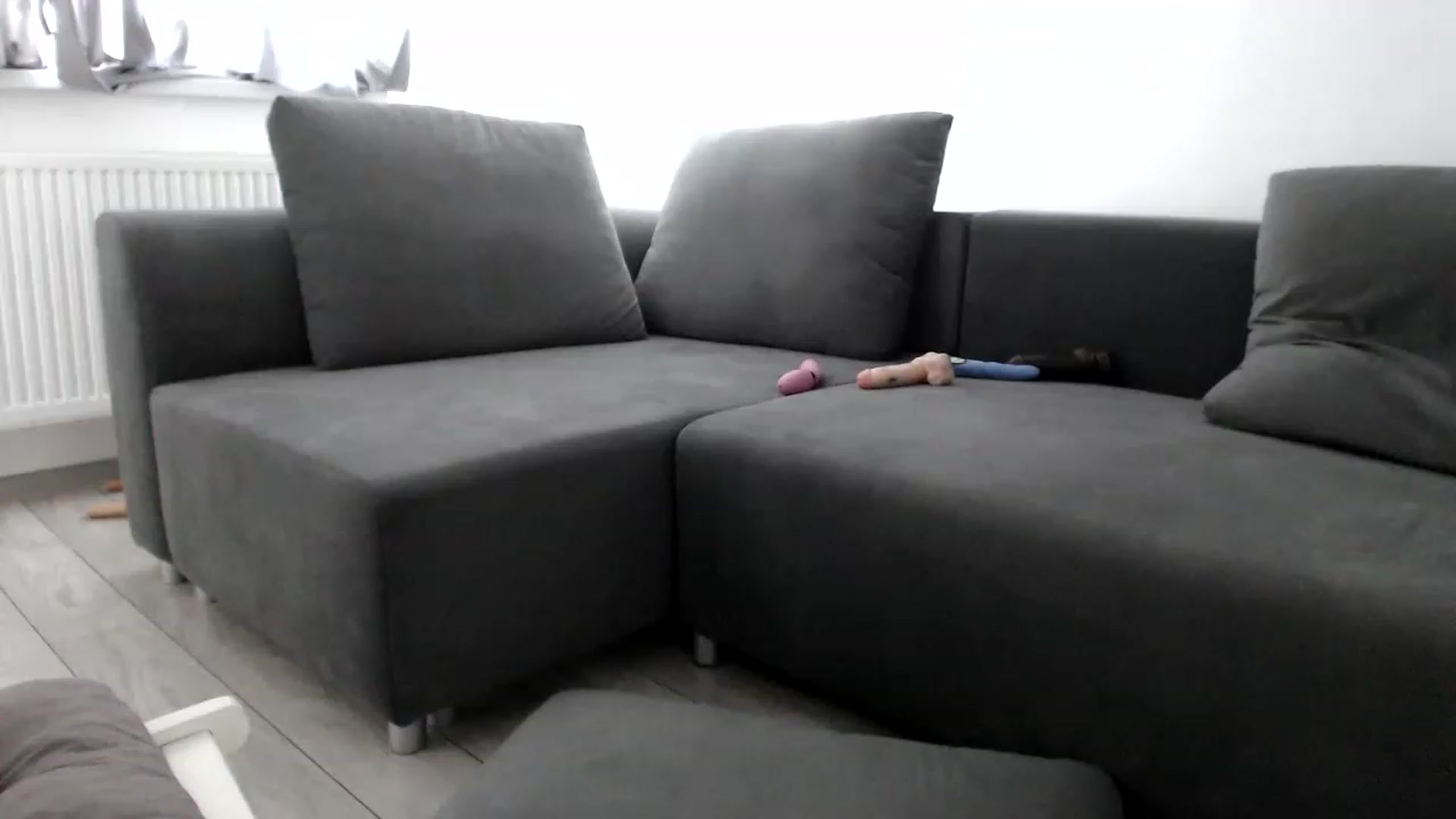 Gallery image thumbnail from LaddyAnn's myfreecams stream on, 12/09/2022, 12:17 image 12 of 20