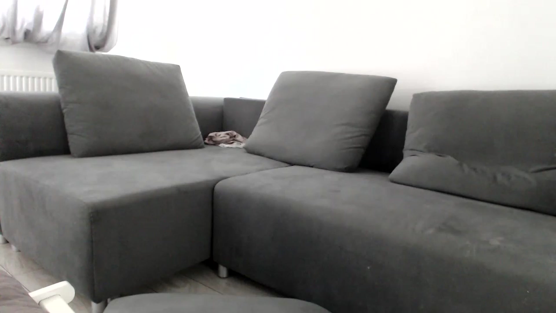 Gallery image thumbnail from LaddyAnn's myfreecams stream on, 12/27/2022, 08:31 image 7 of 20