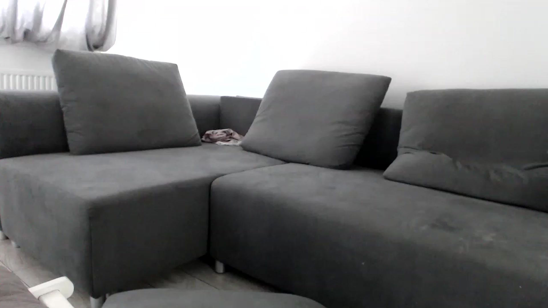 Gallery image thumbnail from LaddyAnn's myfreecams stream on, 12/27/2022, 08:31 image 5 of 20