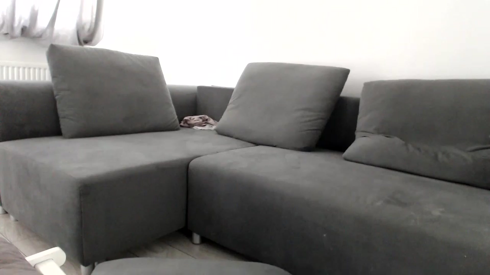 Gallery image thumbnail from LaddyAnn's myfreecams stream on, 12/27/2022, 08:31 image 6 of 20