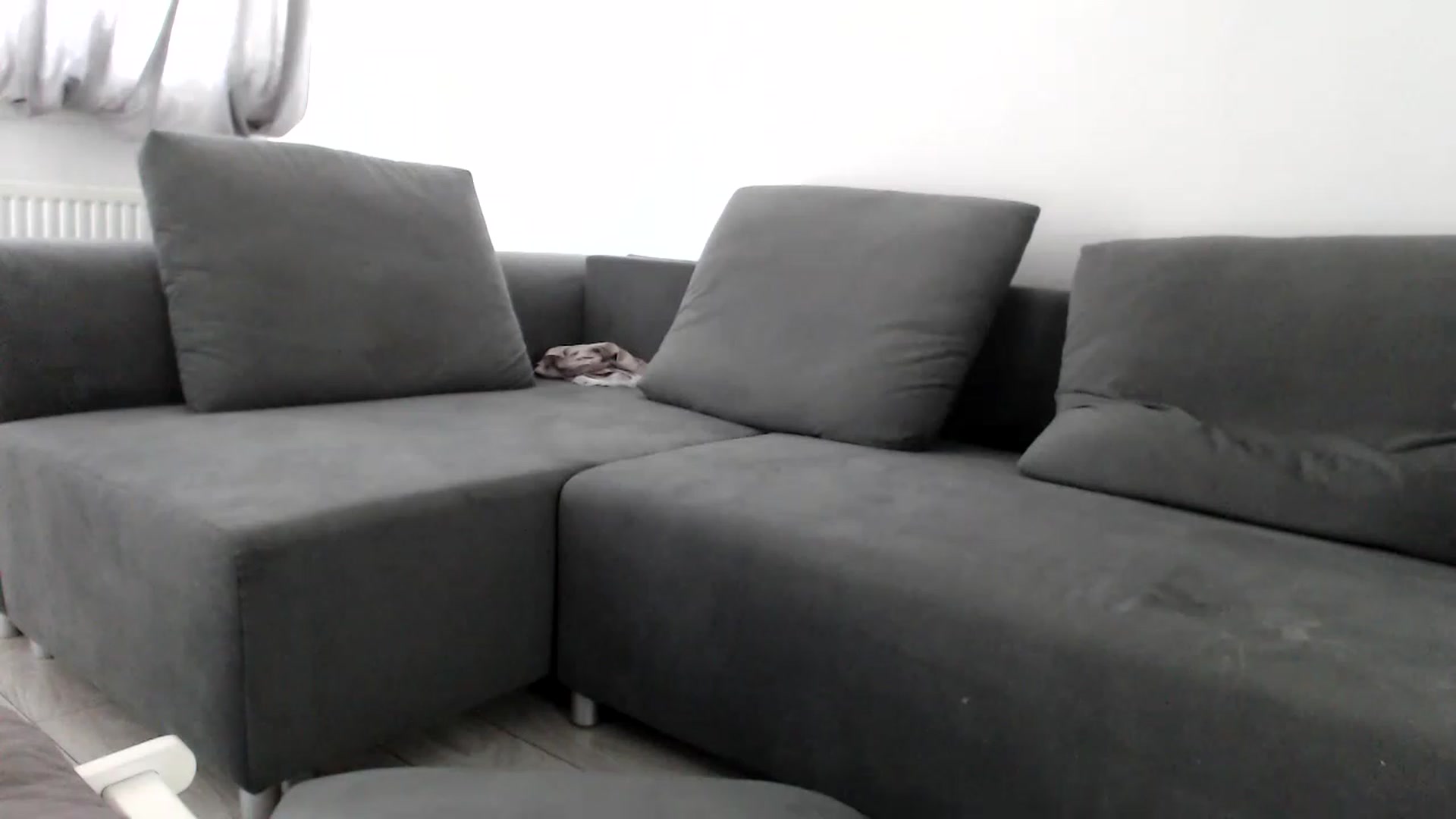 Gallery image thumbnail from LaddyAnn's myfreecams stream on, 12/27/2022, 08:31 image 8 of 20