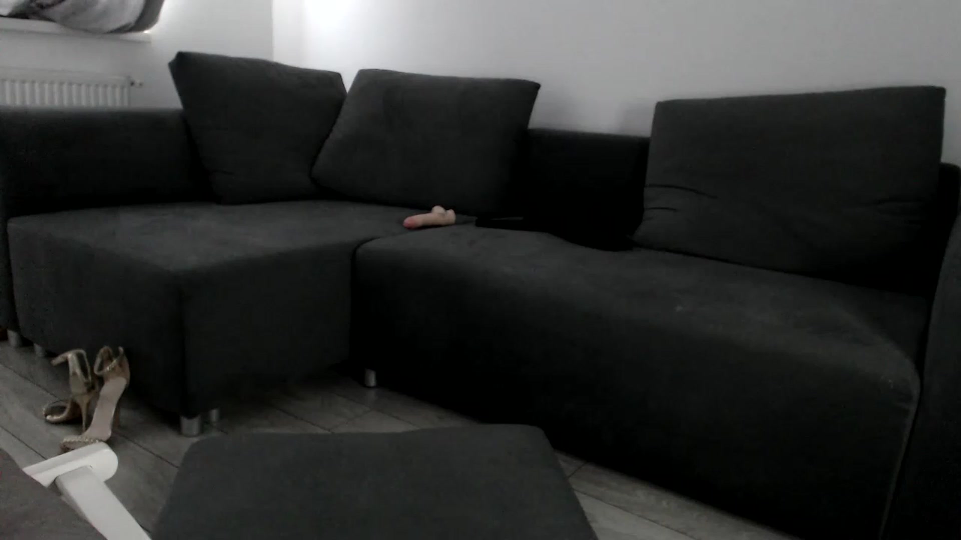 Gallery image thumbnail from LaddyAnn's myfreecams stream on, 01/28/2023, 13:58 image 15 of 20