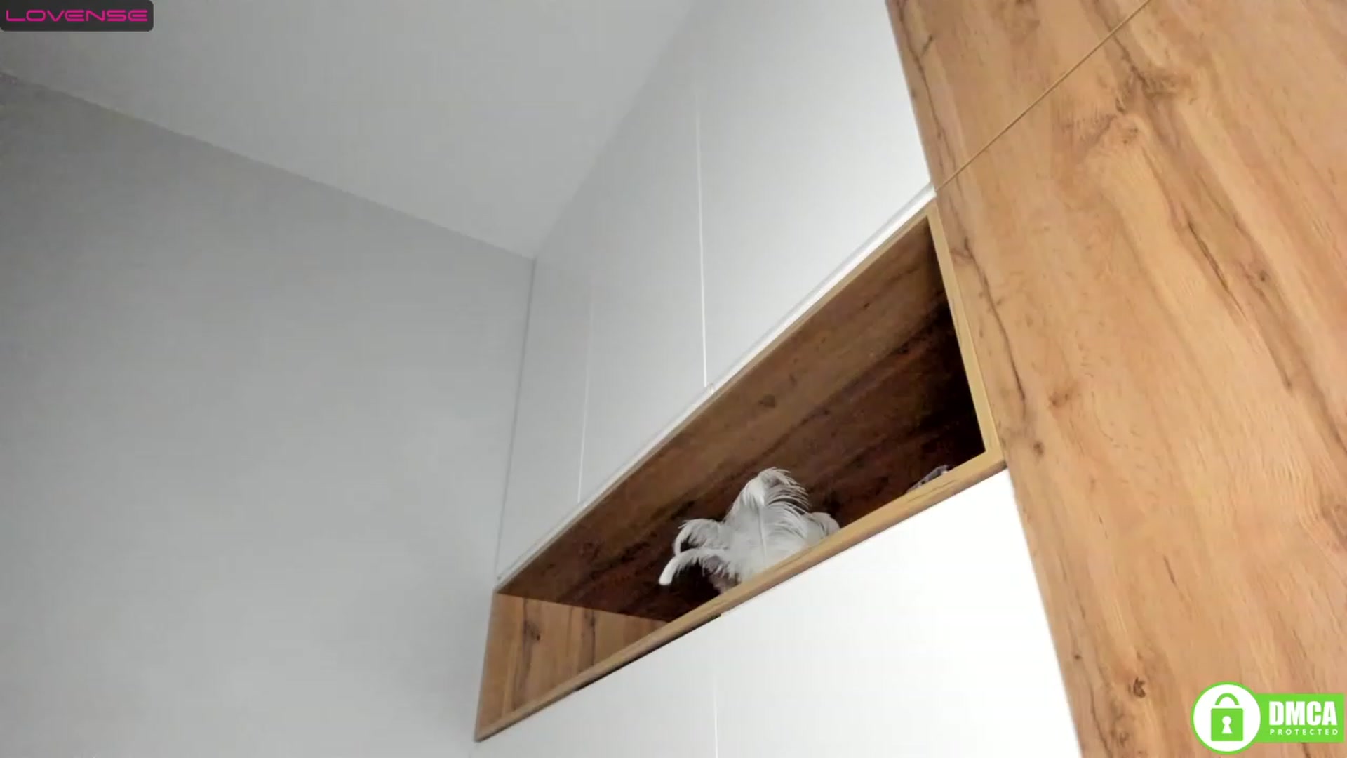 Gallery image thumbnail from LadyKate_'s myfreecams stream on, 01/18/2023, 24:02 image 12 of 20