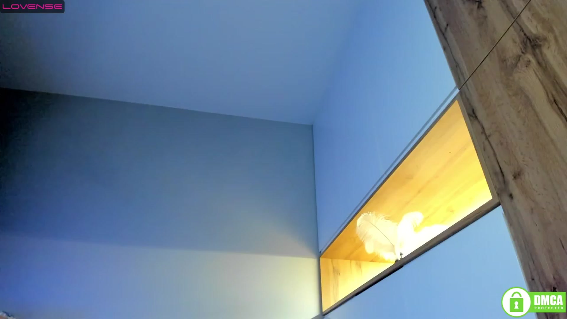 Gallery image thumbnail from LadyKate_'s myfreecams stream on, 01/18/2023, 20:29 image 15 of 20