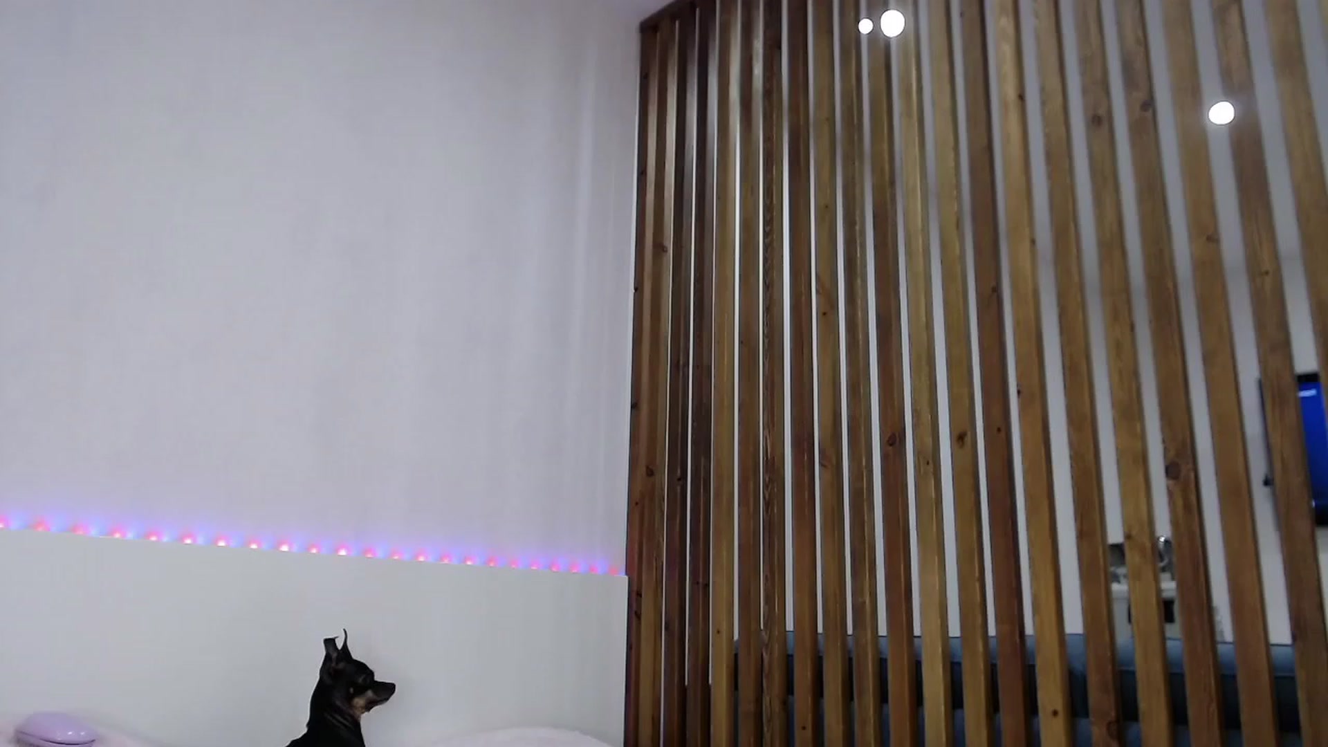 Gallery image thumbnail from LadyLika's myfreecams stream on, 08/18/2023, 14:07 image 13 of 20