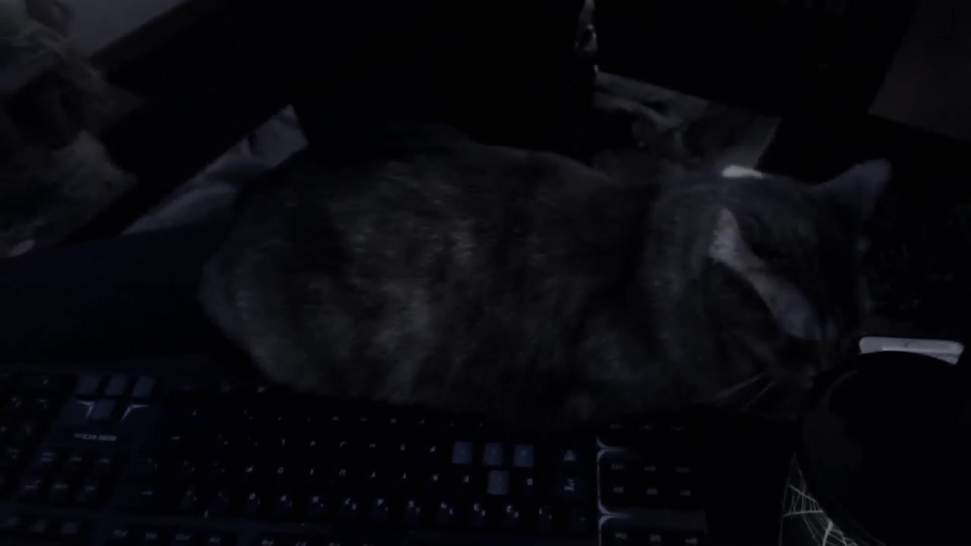 Gallery image thumbnail from LadyMarceline's myfreecams stream on, 11/30/2023, 06:39 image 14 of 20
