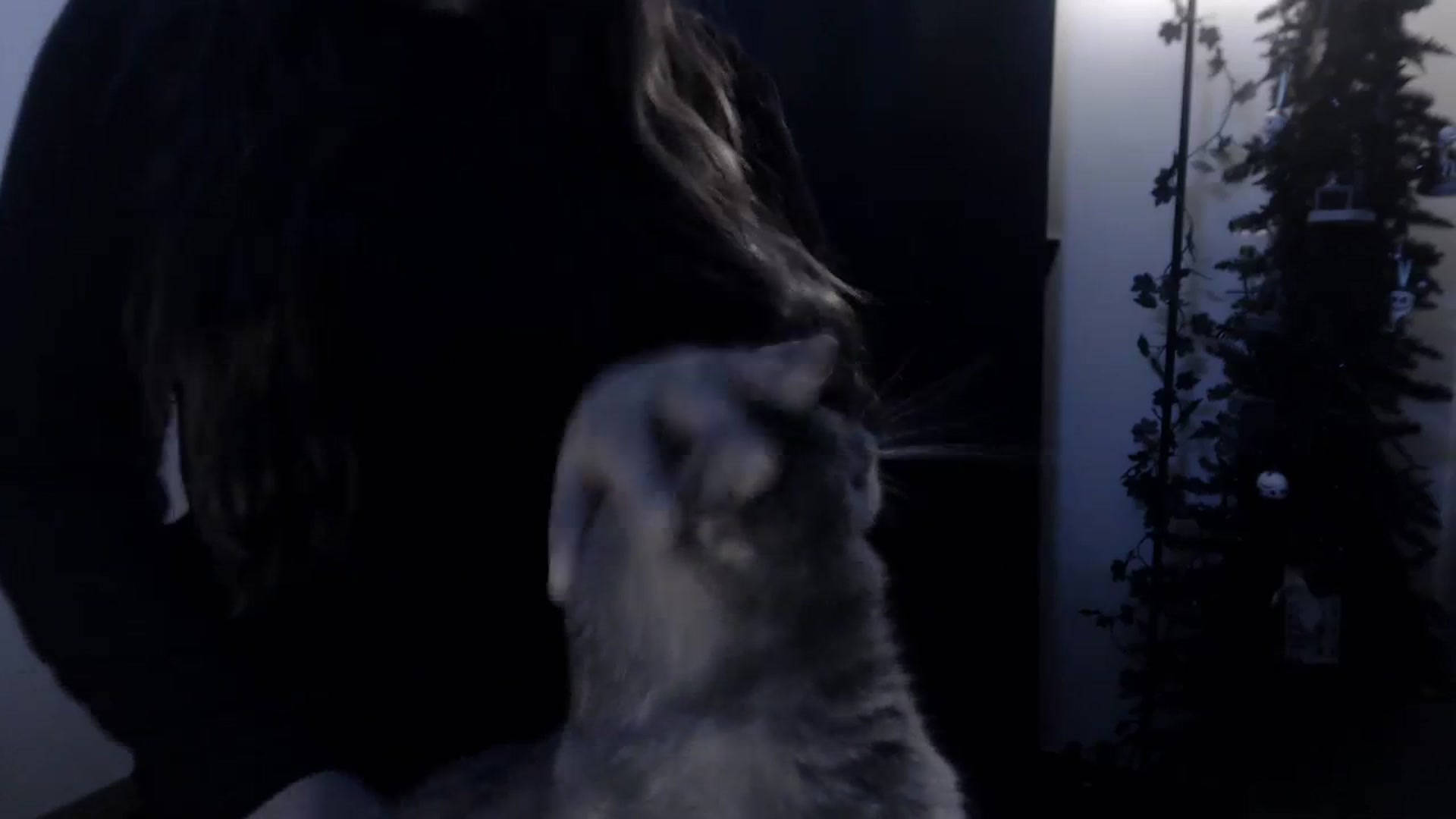 Gallery image thumbnail from LadyMarceline's myfreecams stream on, 12/02/2023, 07:04 image 7 of 20