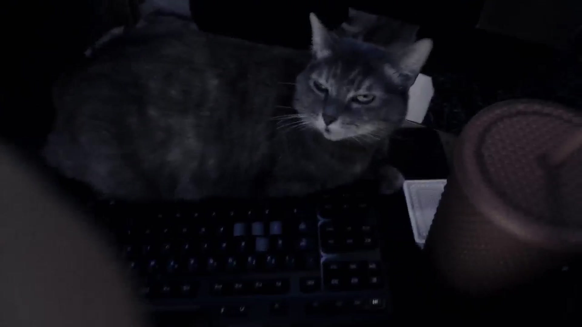 Gallery image thumbnail from LadyMarceline's myfreecams stream on, 12/02/2023, 07:04 image 4 of 20