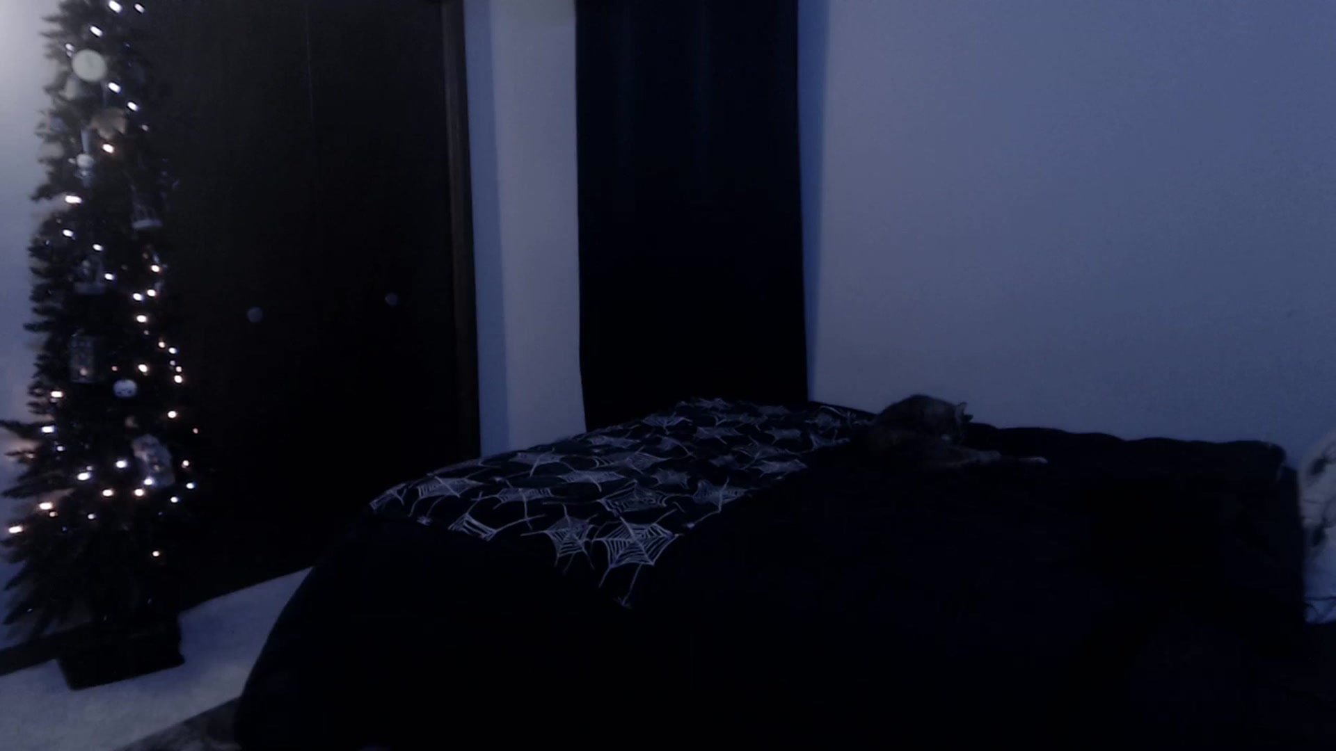 Gallery image thumbnail from LadyMarceline's myfreecams stream on, 01/20/2024, 06:37 image 17 of 20