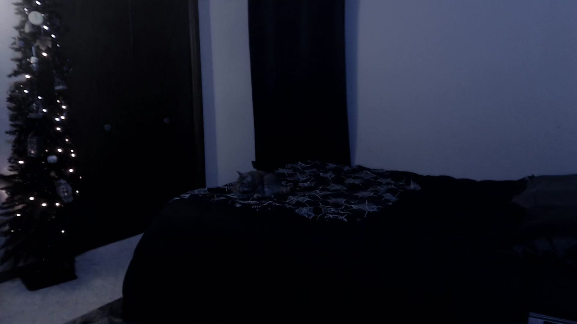 Gallery image thumbnail from LadyMarceline's myfreecams stream on, 02/11/2024, 07:09 image 11 of 20