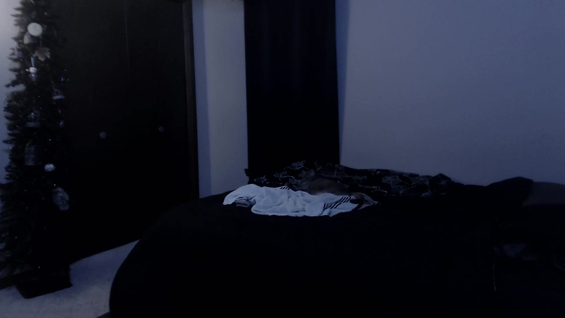 Gallery image thumbnail from LadyMarceline's myfreecams stream on, 02/24/2024, 07:27 image 12 of 20