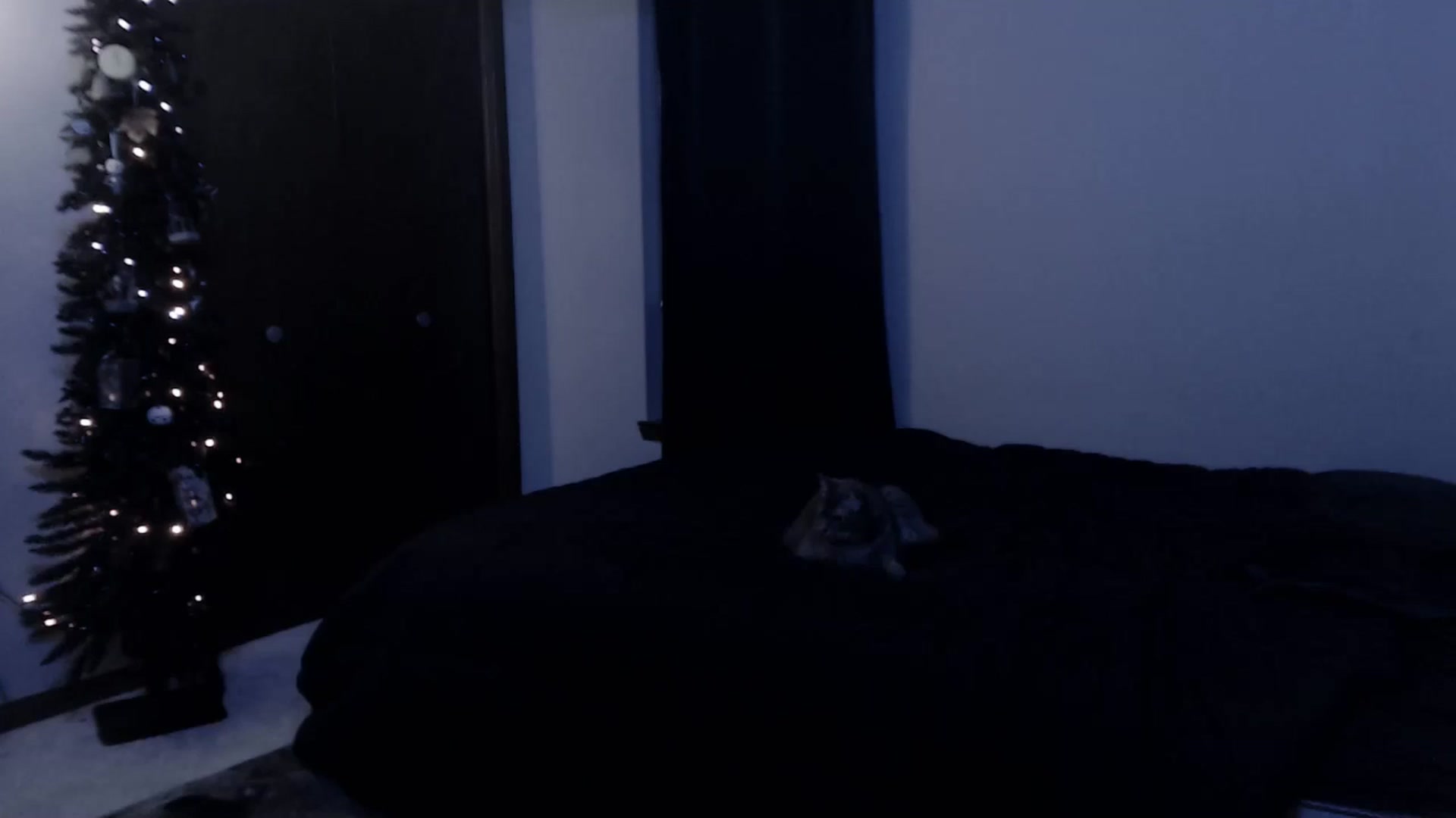 Gallery image thumbnail from LadyMarceline's myfreecams stream on, 05/04/2024, 05:57 image 20 of 20