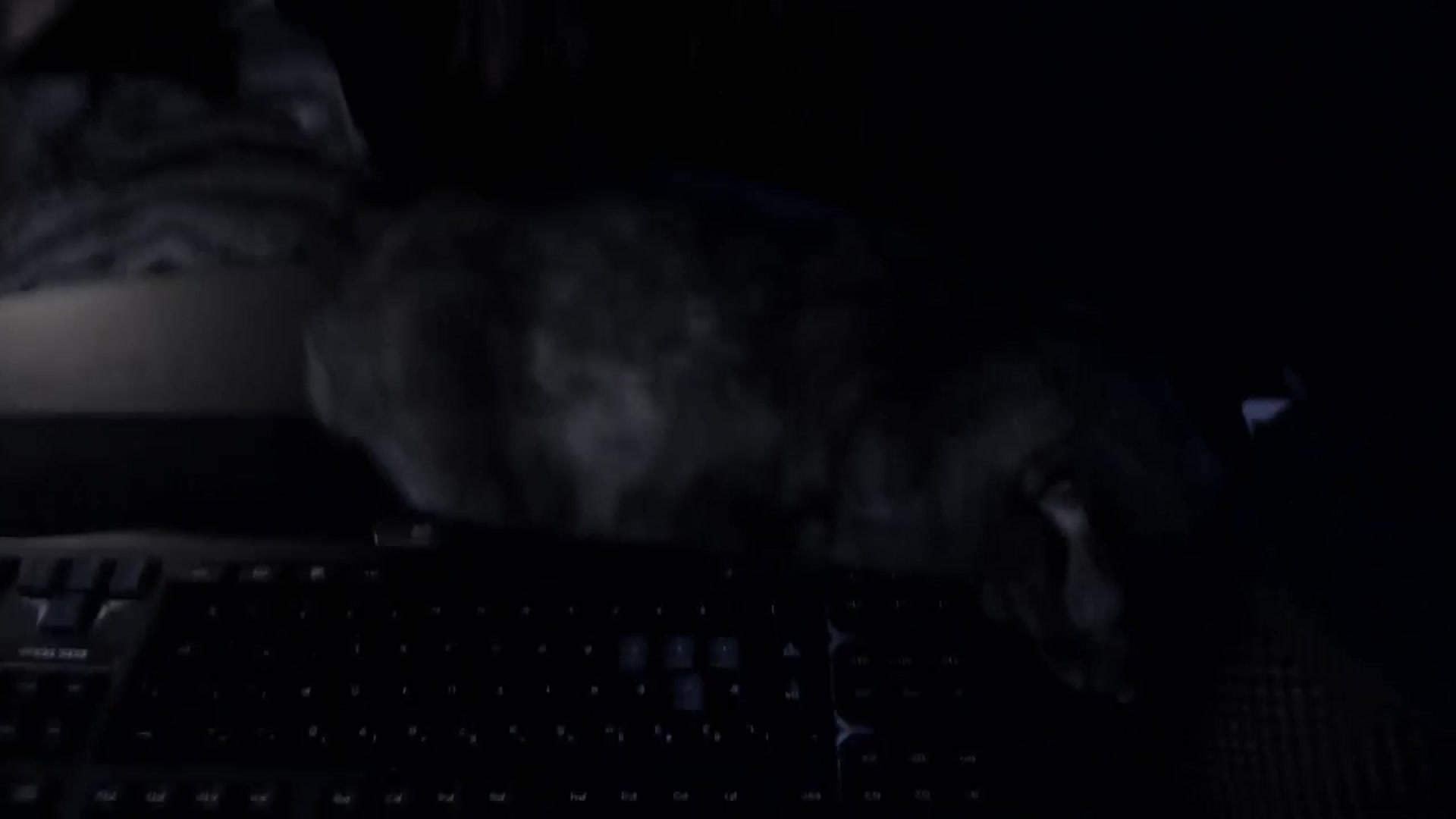 Gallery image thumbnail from LadyMarceline's myfreecams stream on, 06/26/2024, 05:21 image 12 of 20