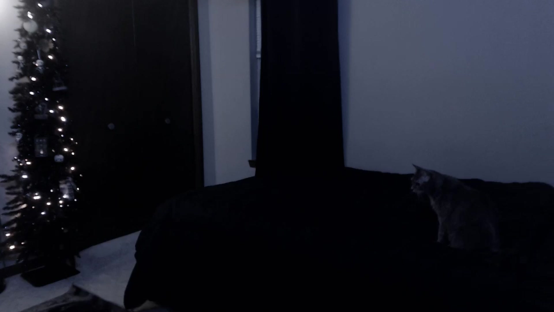 Gallery image thumbnail from LadyMarceline's myfreecams stream on, 10/22/2024, 05:21 image 12 of 20