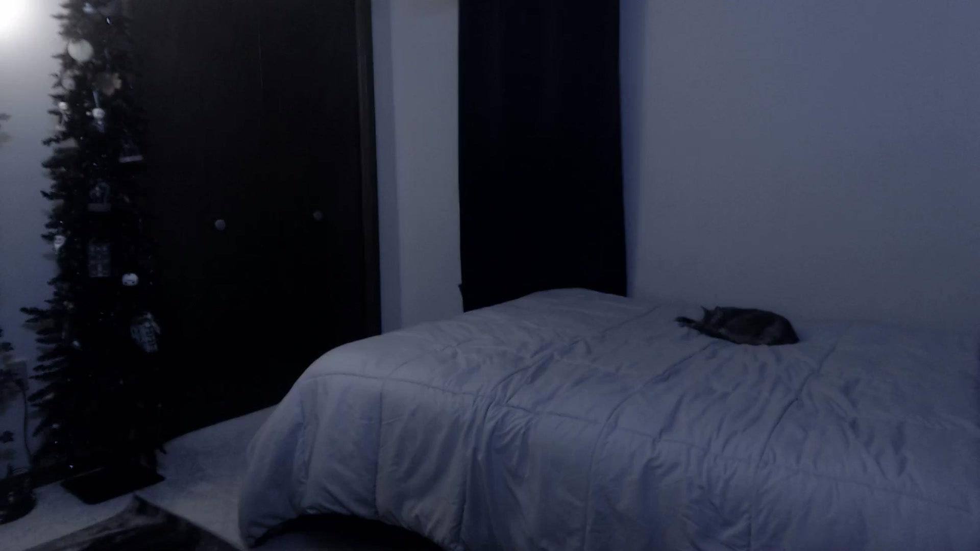 Gallery image thumbnail from LadyMarceline's myfreecams stream on, 11/24/2024, 08:09 image 11 of 20