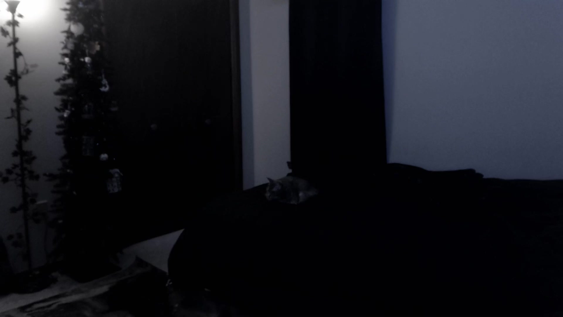 Gallery image thumbnail from LadyMarceline's myfreecams stream on, 01/25/2025, 07:23 image 13 of 20