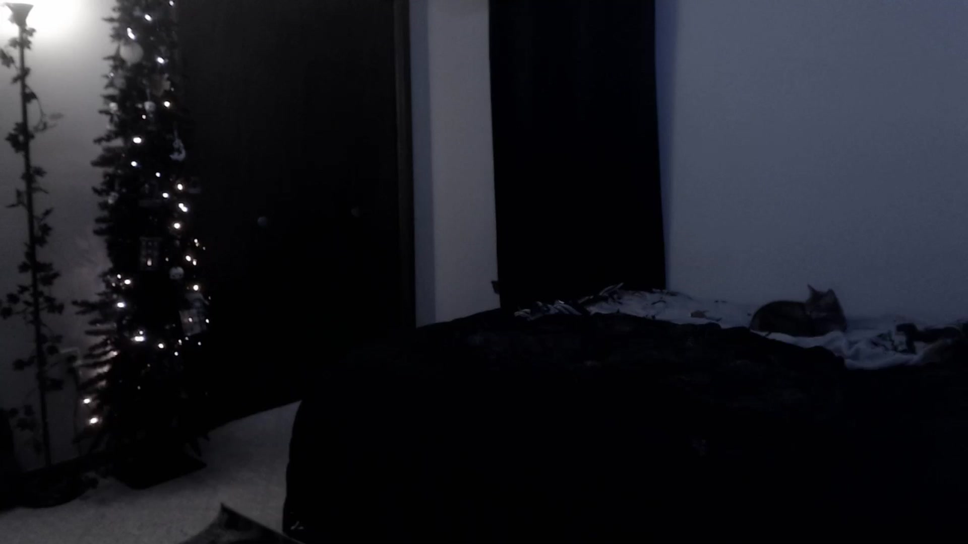 Gallery image thumbnail from LadyMarceline's myfreecams stream on, 02/01/2025, 07:59 image 6 of 20