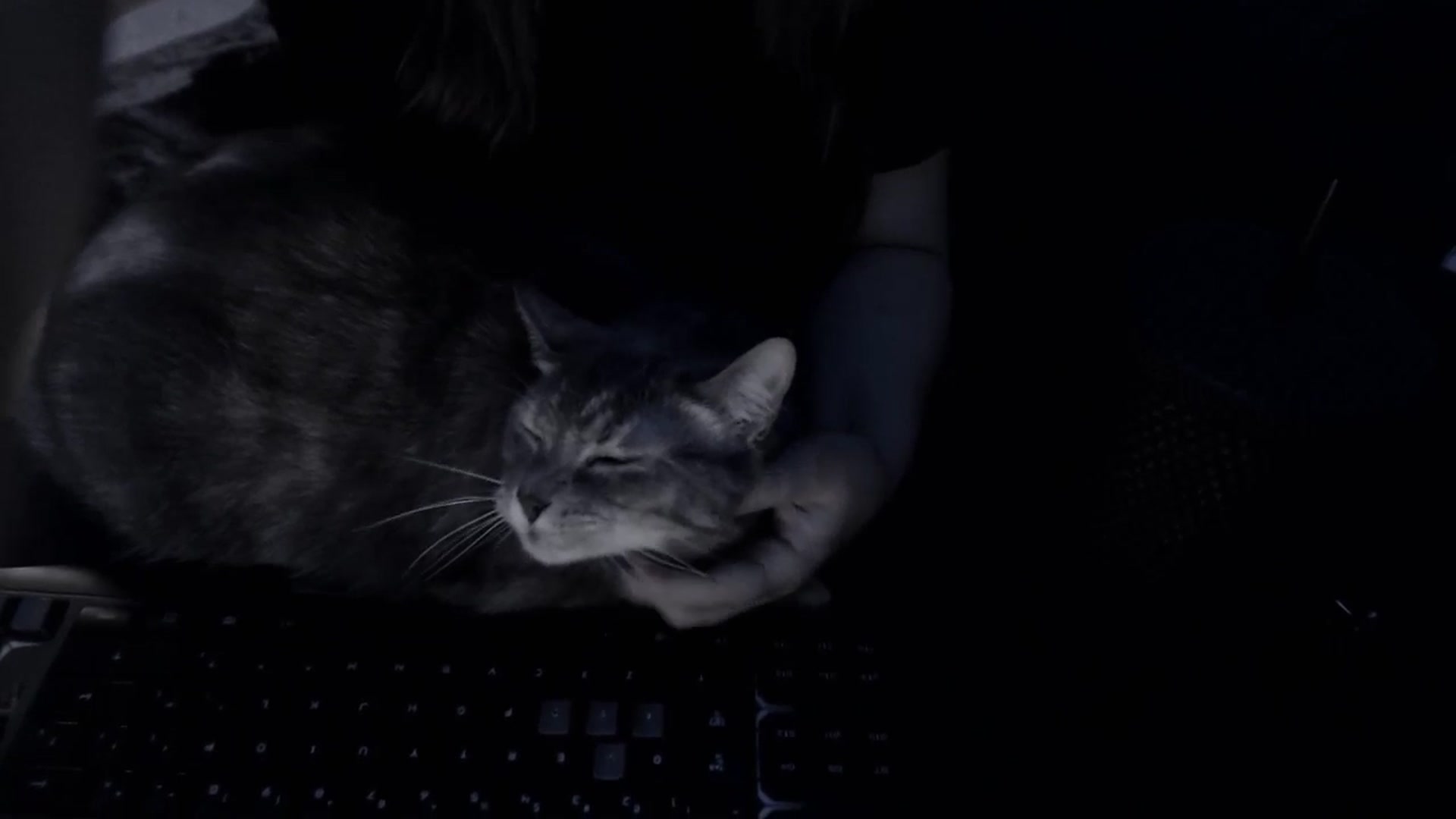 Gallery image thumbnail from LadyMarceline's myfreecams stream on, 02/08/2025, 08:34 image 15 of 20