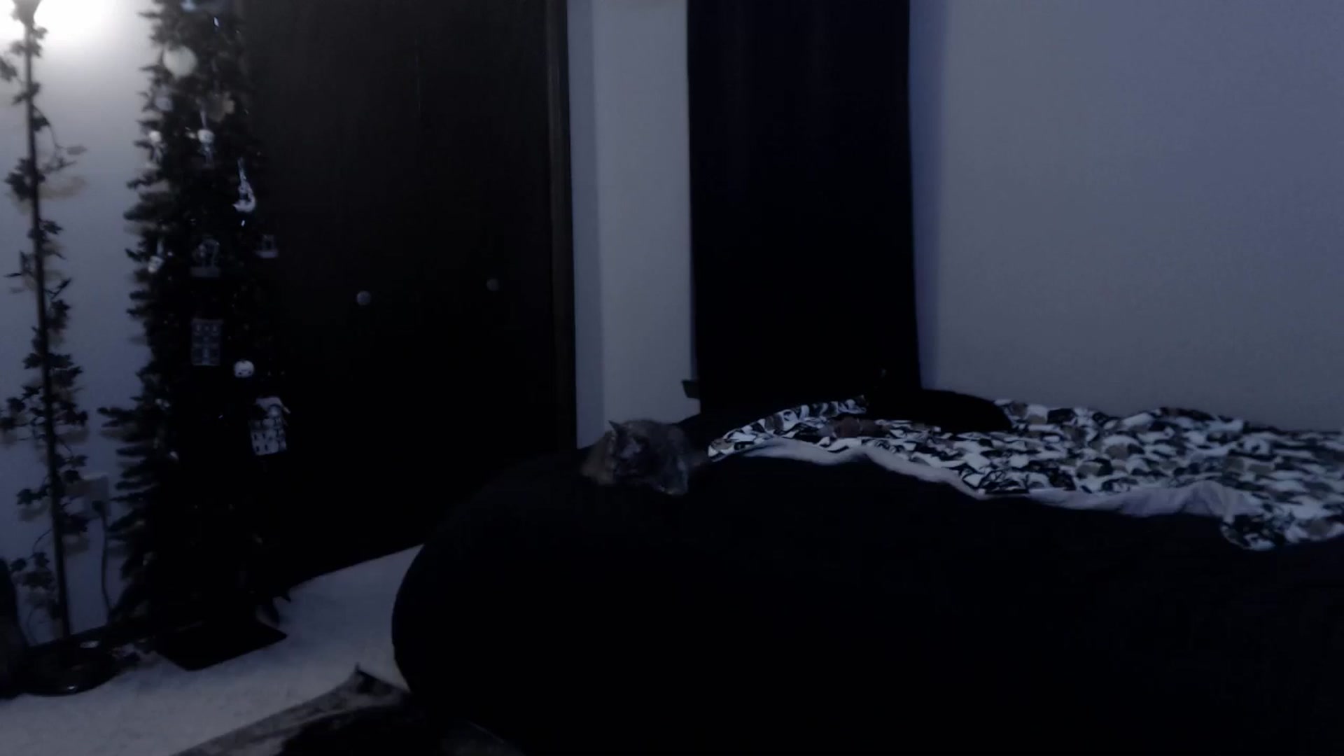 Gallery image thumbnail from LadyMarceline's myfreecams stream on, 02/08/2025, 08:34 image 5 of 20