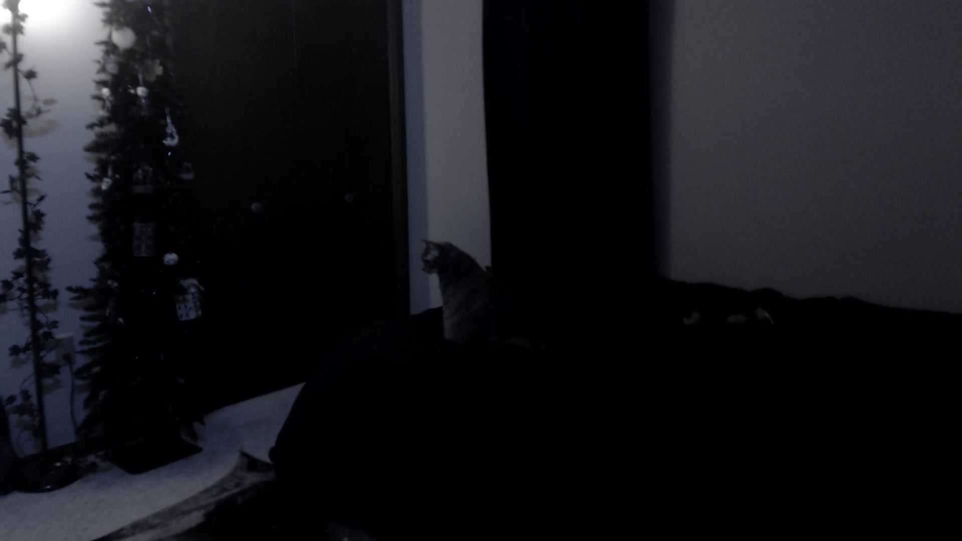 Gallery image thumbnail from LadyMarceline's myfreecams stream on, 02/16/2025, 07:23 image 1 of 20