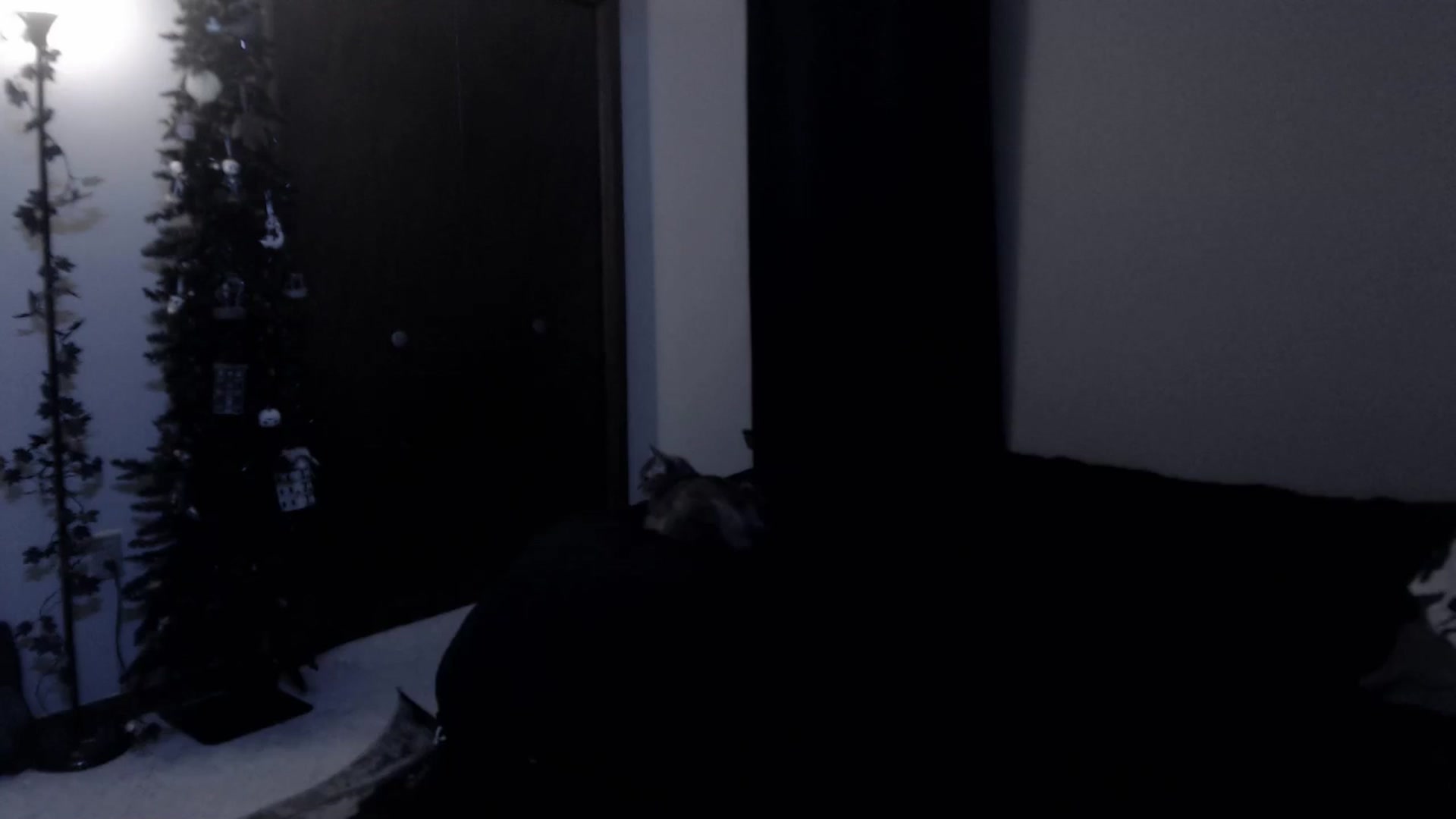 Gallery image thumbnail from LadyMarceline's myfreecams stream on, 03/15/2025, 06:36 image 2 of 20