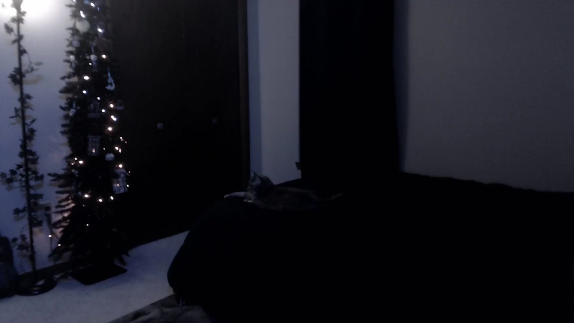 Gallery image thumbnail from LadyMarceline's myfreecams stream on, 04/05/2025, 05:59 image 20 of 20
