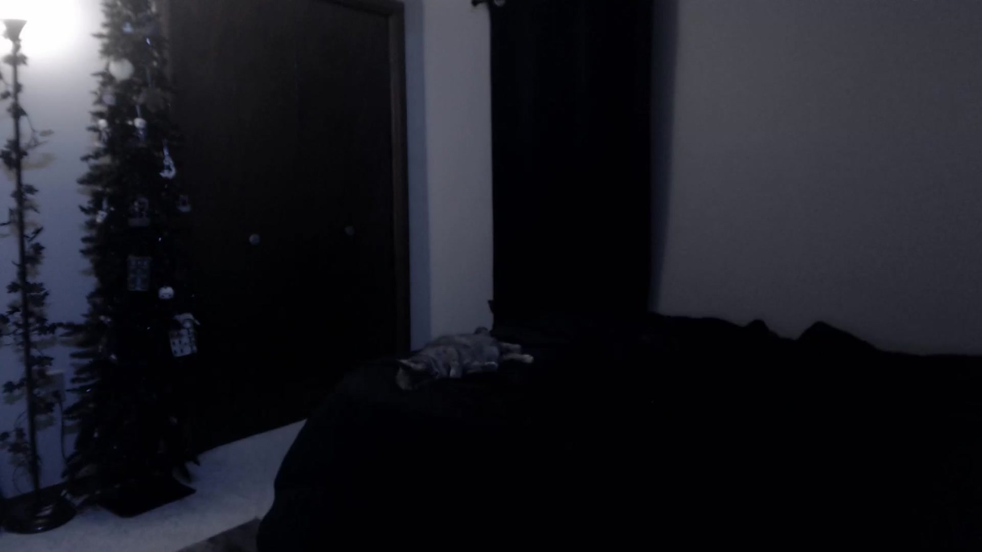 Gallery image thumbnail from LadyMarceline's myfreecams stream on, 05/07/2025, 05:48 image 18 of 20