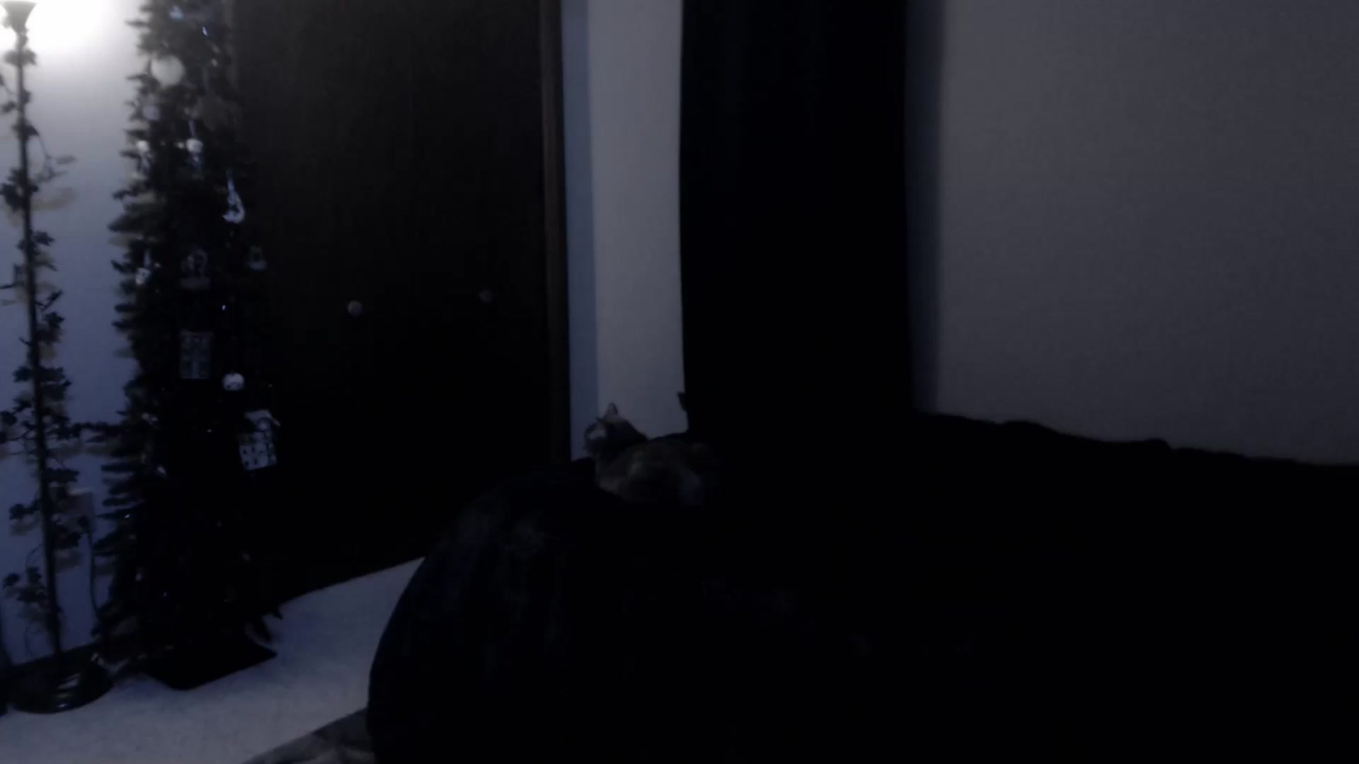 Gallery image thumbnail from LadyMarceline's myfreecams stream on, 05/11/2025, 06:39 image 1 of 20
