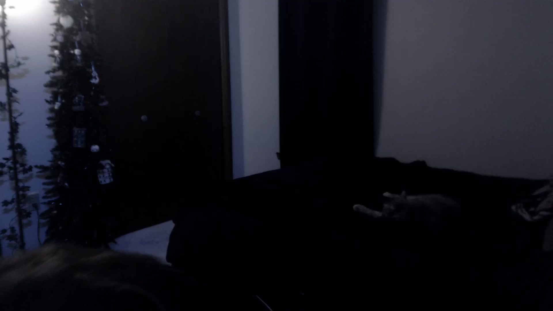 Gallery image thumbnail from LadyMarceline's myfreecams stream on, 06/07/2025, 06:28 image 10 of 20
