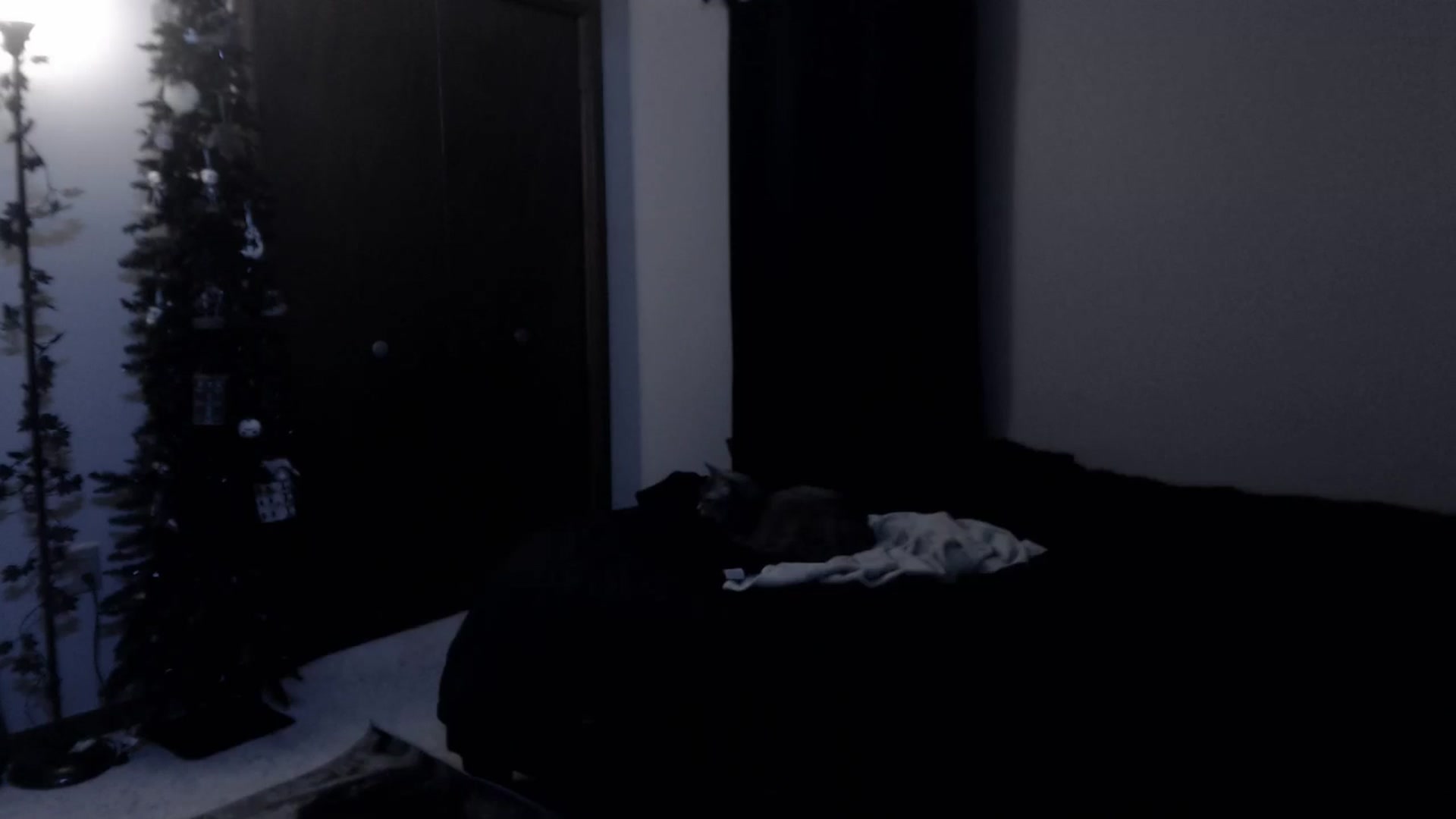 Gallery image thumbnail from LadyMarceline's myfreecams stream on, 06/15/2025, 05:57 image 12 of 20