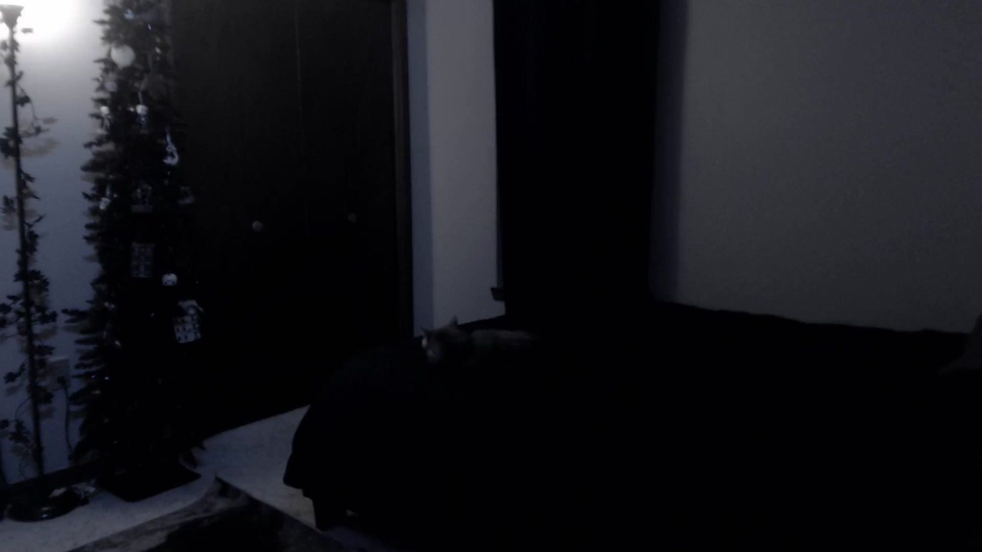Gallery image thumbnail from LadyMarceline's myfreecams stream on, 06/21/2025, 07:43 image 9 of 20