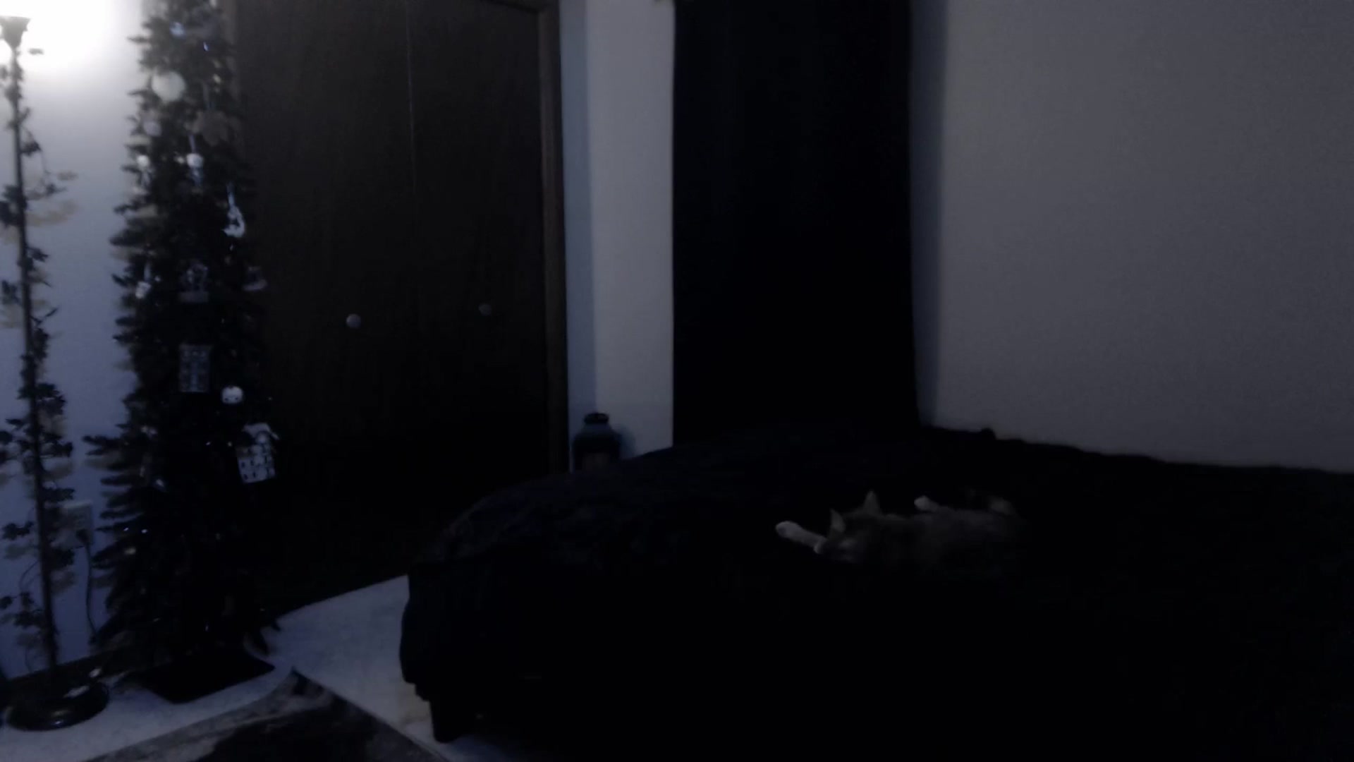 Gallery image thumbnail from LadyMarceline's myfreecams stream on, 06/30/2025, 05:20 image 8 of 20