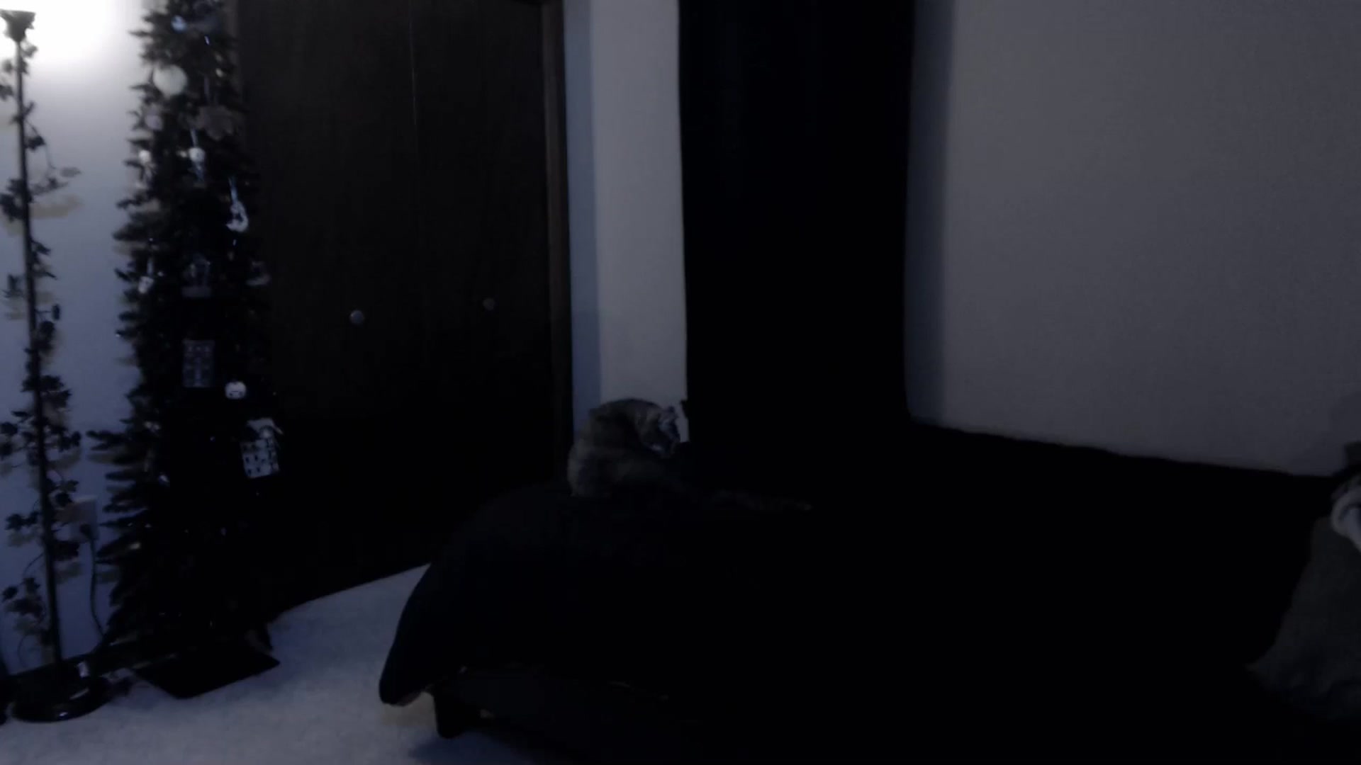 Gallery image thumbnail from LadyMarceline's myfreecams stream on, 09/21/2025, 07:14 image 9 of 20