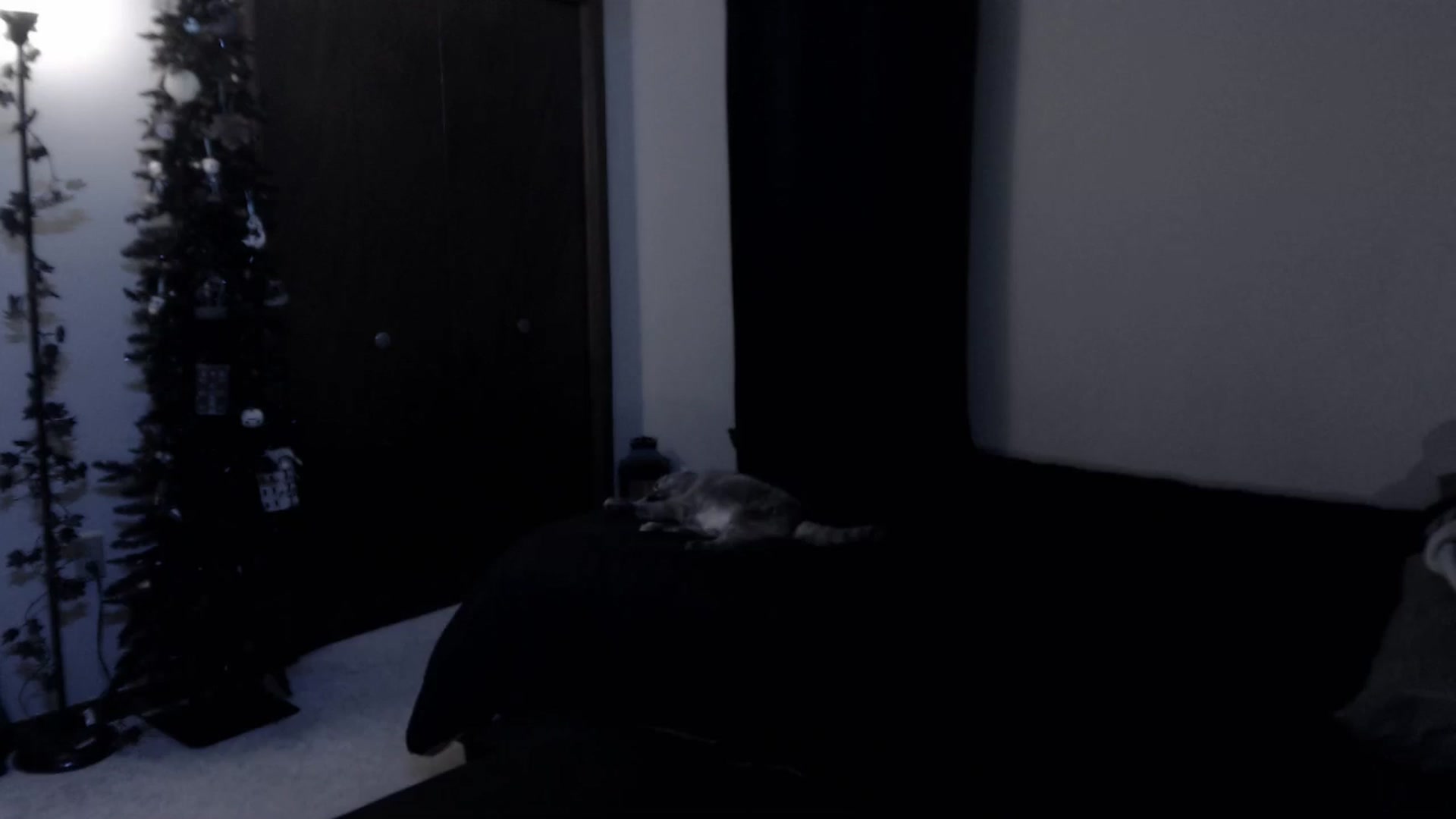 Gallery image thumbnail from LadyMarceline's myfreecams stream on, 09/21/2025, 07:14 image 7 of 20