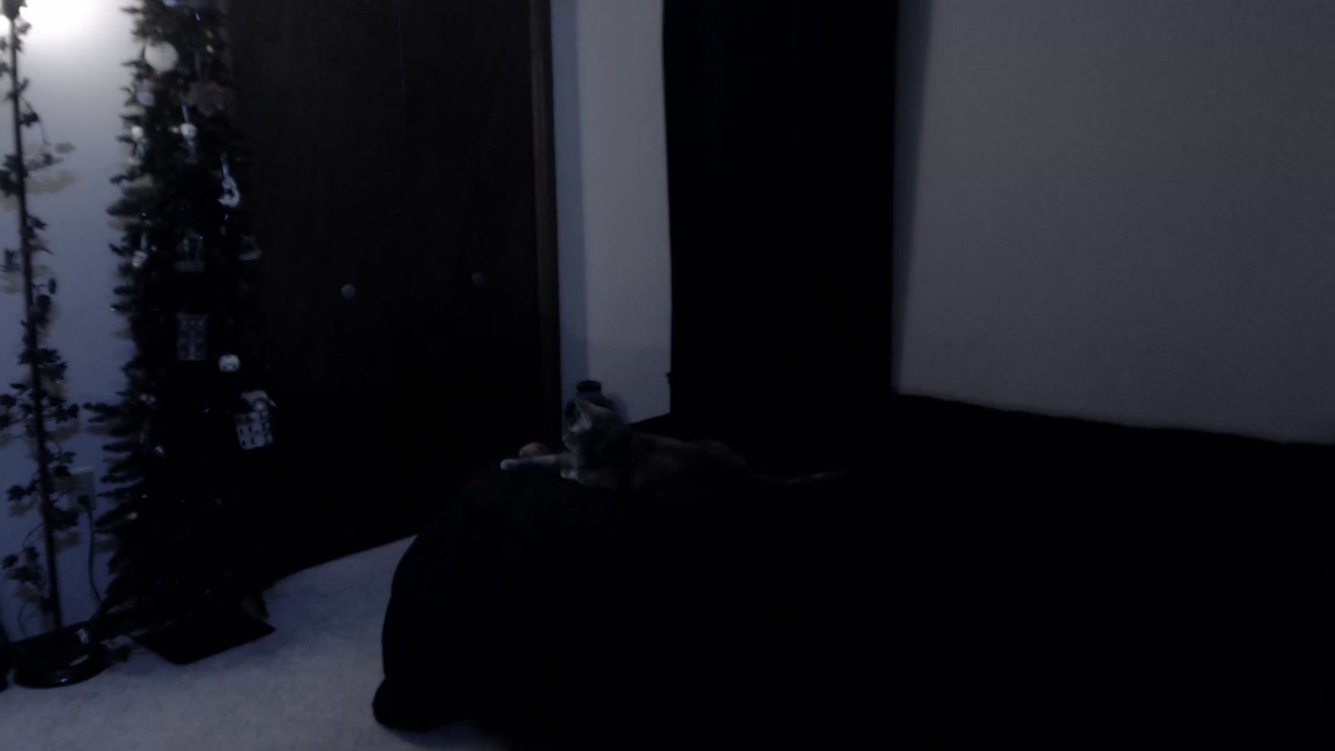 Gallery image thumbnail from LadyMarceline's myfreecams stream on, 09/27/2025, 06:39 image 12 of 20