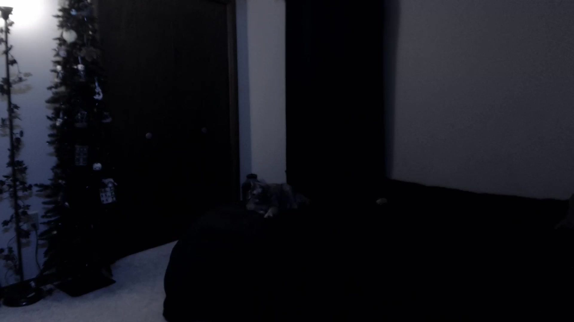 Gallery image thumbnail from LadyMarceline's myfreecams stream on, 10/05/2025, 05:21 image 18 of 20