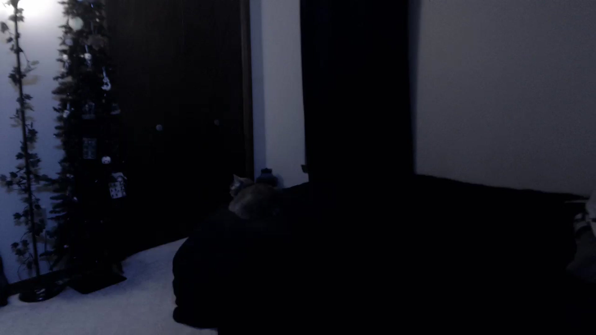 Gallery image thumbnail from LadyMarceline's myfreecams stream on, 11/08/2025, 07:31 image 19 of 20